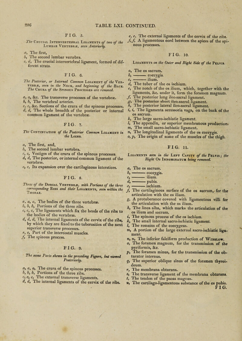 FIG. 5. The Crucial Intervertebral Ligaments of two of the Lumbar Vertebrae, seen Anteriorly. a, The first, by The second lumbar vertebra. c, d, The crucial intervertebral ligament, formed of dif¬ ferent strata. F I G. 6. The Posterior, or Internal Common Ligament of the Ver- tebra5, seen in the Neck, and beginning of the Back. The Crura of the Spinous Processes are removed. a, a, &c. The transverse processes of the vertebras. b, b, The vertebral arteries. c, c, &c. Sections of the crura of the spinous processes. d, d, The whole breadth of the posterior or internal common ligament of the vertebrae. FIG. 7. The Continuation of the Posterior Common Ligament in the Loins. a, The first, and, by The second lumbar vertebra. c, Cy Vestiges of the crura of the spinous processes. dy dy The posterior, or internal common ligament of the vertebrae. e, e, Its expansion over the cartilaginous interstices. FIG. 8. Three of the Dorsal Vertebras, with Portions of the three corresponding Ribs and their Ligaments, seen within the Thorax. a, ay a. The bodies of the three vertebrae. by by by Portions of the three ribs. c, Cy Cy The ligaments which fix the heads of the ribs to the bodies of the vertebrae. dy dy dy Hie internal ligaments of the cervix of the ribs, by which they are fixed to the tuberosities of the next superior transverse processes. et ey Part of the intercostal muscles. f The spinous process. FIG. 9. / The same Parts shewn in the preceding Figure, hut viewed Posteriorly. a, a, ay The crura of the spinous processes. by by by Portions of the three ribs. Cy Cy Cy The external transverse ligaments. d, dy The internal ligaments of the cervix of the ribs. e, ey The external ligaments of the cervix of the ribs. fyfy A ligamentous cord between the apices of the spi¬ nous processes. FIG. 10. Ligaments on the Outer and Right Side of the Pelvis. a, The os sacrum. by -coccygis. Cy -ilium. dy The tuber of the os ischium. e, The notch of the os ilium, which, together with the ligaments, &c. under it, form the foramen magnum. fy The posterior long ileo-sacral ligament. gy The posterior short ileo-sacral ligament. hy The posterior lateral ileo-sacral ligament. iy iy The ligamenta accessoria vaga, on the back of the os sacrum. hy The large sacro-ischiatic ligament. /, The appendix, or superior membranous production. my The small sacro-ischiatic ligament. w, The longitudinal ligaments of the os coccygis. Oy Jpy The origin of some of the muscles of the thigh. FIG. 11. Ligaments seen in the Left Cavity of the Pelvis ; the Right Os Innominatum being removed. a, The os sacrum. by-coccygis. Cy- ilium. dy — pubis. e,-ischium. fy The cartilaginous surface of the os sacrum,* for the articulation with the os ilium. gy A protuberance covered with ligamentous villi for the articulation with the os ilium. hy The linea alba, which marks the articulation of the os ilium and sacrum. iy The spinous process of the os ischium. hy The small internal sacro-ischiatic ligament. Iy The remains of the coccygeus. viy A portion of the large external sacro-ischiatic liga¬ ment. n, riy The inferior falciform production of Winslow. Oy The foramen magnum, for the transmission of the pyriformis, &c. pt The foramen minus, for the transmission of the ob¬ turator internus. q, The superior oblique sinus of the foramen thyroi- deum. Ty The membrana obturans. Sy The transverse ligament of the membrana obturans. ty The tendon of the psoas magnus. Uy The cartilago-ligamentous substance of the os pubis. FIG.