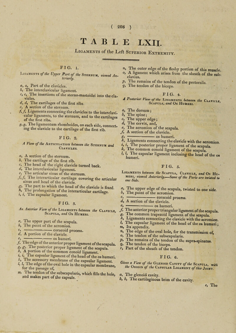 ( 208 ) table lxii. Ligaments of the Left Superior Extremity. FIG. l. Ligaments of the Upper Part of the Sternum, viewed An¬ teriorly. a, a, Part of the clavicles. b, The interclavicular ligament. c, c, The insertions of the sterno-mastoidei into the cla¬ vicles. d, d, The cartilages of the first ribs. e, A section of the sternum. ff Ligaments connecting the clavicles to the interclavi¬ cular ligaments, to the sternum, and to the cartilages , of the first ribs. ° g, g, The ligamentum rhomboides, on each side, connect¬ ing the clavicle to the cartilage of the first rib. FIG. 2. A View of the Articulation between the Sternum and Clavicles. a, A section of the sternum. b, The cartilage of the first rib* c, I he head of the right clavicle turned back. d, The interclavicular ligament. e, The articular sinus of the sternum. f f\ Lhe interarticular cartilage covering the articular sinus and head of the clavicle. The Part to which the head of the clavicle is fixed. h, The prolongation of the interarticular cartilage. ?, i, The capsular ligament. FIG. 3. An Anterior View of the Ligaments between the Clavicle, Scapula, and Os Humeri. a, The upper part of the scapula. b, The point of the acromion. c>-coracoid process. d, A portion of the clavicle. ei ---—-os humeri. f The edge of the anterior proper ligament of thescapula. g, g, I he posterior proper ligament of the scapula. h, A portion of the common conoid ligament. L ^ *ie capsular ligament of the head of the os humeri. Ay The accessory membrane of the capsular ligament. /, l, 1 he edge of the oval hole in the capsular membrane, tor the passage of, m, 1 he tendon of the subscapularis, which fills the hole, and makes part of the capsule. n, The outer edge of the fleshy portion of this muscle. o, A ligament which arises from the sheath of the sub- clavius. jpy 1 he remains of the tendon of the pectoralis. q. The tendon of the biceps. FIG. 4. A Posterior View of the Ligaments between the Clavicle Scapula, and Os Humeri. ' a, The dorsum ; b, The spine; c, The upper edge; d, The cervix, and, e, The acromion of the scapula. f A section of the clavicle. g> —--os humeri. hy Ligaments connecting the clavicle with the acromion. 2, 2, The posterior proper ligament of the scapula. by The common conoid ligament of the scapula. ly ly The capsular ligament inclosing the head of the os humeri. F I G. 5. Ligaments between the Scapula, Clavicle, and Os Hu¬ meri, viewed Anteriorly,—Same of the Parts are twisted to one Side. a, The upper edge of the scapula, twisted to one side. by The point of the acromion. c>-coracoid process. dy A section of the clavicle. ei ----os humeri. 1 he anterior proper triangular ligament of the scapula. g, The common trapezoid ligament of the scapula. hy Ligaments connecting the clavicle with the acromion. ly The capsular ligament of the head of the os humeri; w,y Its appendix. w, The edge of the oval hole, for the transmission of, Oy T he tendon of the subscapularis. P* T he remains of the tendon of the supra-spinatus. qy The tendon of the biceps, r, Part of the sheath of the tendon. FIG. 6. Gives a View of the Glenoid Cavity of the Scapula, with the Origin of the Capsular Ligament of this Joint. o, The glenoid cavity. by by The cartilaginous brim of the cavity. Cy The