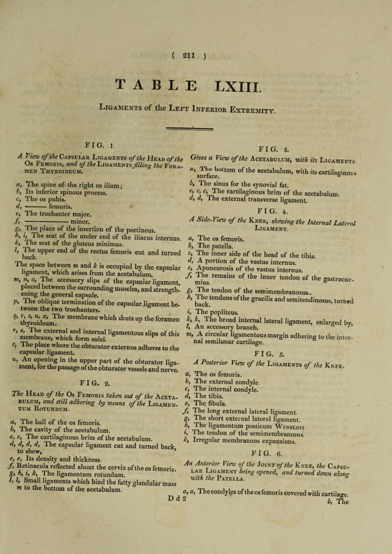 TABLE LXIII. Ligaments of the Left Inferior Extremity. FIG* L FIG. 3. A View of the Capsular Ligaments of the Head of the Givcs a View of the Acetabulum, with its Ligaments Os Femoris, and of the Ligaments filing the Fora- ^ „ , L' men Thyroideum. a* fff boltom of the acetabulum, with its cartilaginous a. a> The spine of the right os ilium ; b, Its inferior spinous process. c, The os pubis. d, —.femoris. e, The trochanter major. f-minor. g> The place of the insertion of the pectineus. //, if The seat of the under end of the iliacus internus. kf rIhe seat of the gluteus minimus. If The upper end of the rectus femoris cut and turned back. The space between to and k is occupied by the capsular ligament, which arises from the acetabulum, w, iif 0, The accessory slips of the capsular ligament, Dlaced between __i__ P surface. bf The sinus for the synovial fat. C? ^ carti,aSinous brim of the acetabulum. df df 1 he external transverse ligament. FIG. 4. A Side-View of the Knee, shewing the Internal Lateral Ligament. a, The os femoris. bf The patella. c, The inner side of the head of the tibia. df A portion of the vastus internus. e, Aponeurosis of the vastus internus. remains of the inner tendon of the gastrocne- i ai -. v luc ^apsuiar ligament, mius. ening the general capsule. Pf The oblique termination of the capsular ligament be¬ tween the two trochanters. --ociuiuicijiuranosus.. 'l) ^^ten^ons °^tbe gracilis and semitendinosus, turned The popliteus. rp. , ®» I he popliteus. thyroTdeim membrane which shuts UP foramen *. k The broad internal lateral ligament, enlarged by „ ; ^r7 , , . 1} An accessory branch. w ° J ’ membrane,ThfchformluM igament0US sliPs of this m> A. circu.lar ligamentous margin adhering to the inter- * place where the obturator externus adheres to the ronCII lot* capsular ligament. Uf An opening in the upper part of the obturator liga¬ ment, for the passage of the obturator vessels and nerve. FIG. 2. Cf me in ten I he Head of the Os Femoris taken out of the Aceta- The tibia. bulum, and still adhering by means of the Ligamen- e> The fibula. tum Rotundum. nal semilunar cartilage. F I G. 5. A Posterior View of the Ligaments of the Knee. a, The os femoris. bf The external condyle. Cf The internal condyle. Of The ball of the os femoris. bf The cavity of the acetabulum. The cartilaginous brim of the acetabulum. df df df df The capsular ligament cut and turned back to shew, J e, Cf Its density and thickness. /, Retinacula reflected about the cervix of the os femoris. gi hf if kf 1 he ligamentum rotundum. 1, If Small ligaments which bind the fatty glandular mass to to the bottom of the acetabulum. f, The long external lateral ligament. g, The short external lateral ligament. h, The ligamentum posticum Winsloii. if The tendon of the semimembranosus. kf Irregular membranous expansions. FIG. 6. An Anterior View of the Joint of the Knee, the Capsu< lar Ligament being opened, and turned down alono with the Patella. & Dd 2 a, a, The condyles of the os femoris covered with cartilage