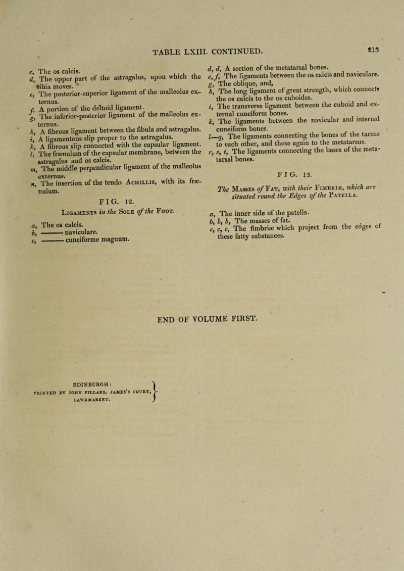 vT* The os calcis. The upper part of the astragalus, upon which the tibia moves. The posterior-superior ligament of the malleolus ex- ternus. A portion of the deltoid ligament. The inferior-posterior ligament of the malleolus ex- ternus. , . , , hf A fibrous ligament between the fibula and astragalus. i’ A ligamentous slip proper to the astragalus. k, A fibrous slip connected with the capsular ligament. The frsenulum of the capsular membrane, between the astragalus and os calcis. m The middle perpendicular ligament of the malleolus externus. . r Hs The insertion of the tendo Achillis, with its irae- nulum. FIG. 12. Ligaments in the Sole of the Foot. a, The os calcis. b, -naviculare. c, -cuneiforme magnum. d, d, A section of the metatarsal bones. e, f. The ligaments between the os calcis and naviculare. g, The oblique, and, h, The long ligament of great strength, which connects the os calcis to the os cuboides. i, The transverse ligament between the cuboid and ex¬ ternal cuneiform bones. fc, The ligaments between the navicular and internal cuneiform bones. I_The ligaments connecting the bones of the tarsus to each other, and those again to the metatarsus. r, s, t, The ligaments connecting the bases of the meta¬ tarsal bones. FIG. 13. The Masses of Fat, with their Fimbria, which are situated round the Edges of the Patell a. a, The inner side of the patella. b. b, by The masses of fat. Cy Cy Cy The fimbriae which project from the edges of these fatty substances. END OF VOLUME FIRST. FKIN TED BY EDINBURGH: JOHN PIIXAKS, JAMEs’8 COUI1T, BAWN MARKET. }
