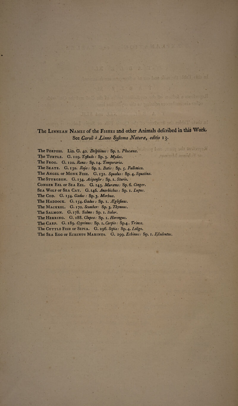 / / • . • -- I- K “ 'r»l ' , t ... . ' ; * ’ , > .fi ' f » The Linnean Names of the Fishes and other Animals defcribed in this Woirk* See Caroli a Linne Syftema Nature, edttio 13. \ ■ \ '. . * ’ f / • r . , ' : _ . . ' , The Porpess. Lin. G. 40. Delphinus: Sp. I. Phocana. The Turtle. G. i 19. Tejludo : Sp. 3. Mydas. The Frog. G. 120. Rana: Sp. 14. Temporaria. The Skate. G. 130. Raja: Sp. 2. Batis: Sp. 5. Fullonica. The Angel or Monk Fish. G. 131. Squalus: Sp. 4. Squatina. The Sturgeon. G. 134. Acipenfer: Sp. 1. Sturio, Conger Eel or Sea Eel. G. 143. Murana: Sp. 6. Conger. Sea Wolf or Sea Cat. G. 146. Anarhichas: Sp. 1. Lupus. The Cod. G. 154. Gadus : Sp.3. Morhua. The Haddock. G. i^.Gadus: Sp. 1. JEglejinus. The Mackrel. G. 170. Scomber: Sp. 3. Tbynnus. The Salmon. G. 178. Salmo: Sp. 1. Salar. The Herring. G, 188. Clupea: Sp. 1. Harengus. The Carp. G. 189. Cyprinus: Sp. 1 ,Carpio: Sp.4. Trine a. The Cuttle Fish or Sepia. G. 296. Sepia: Sp. 4. Loligo. The Sea Egg or Echinus Marinus, G. 299. Echinus: Sp, i. E/culentus. /
