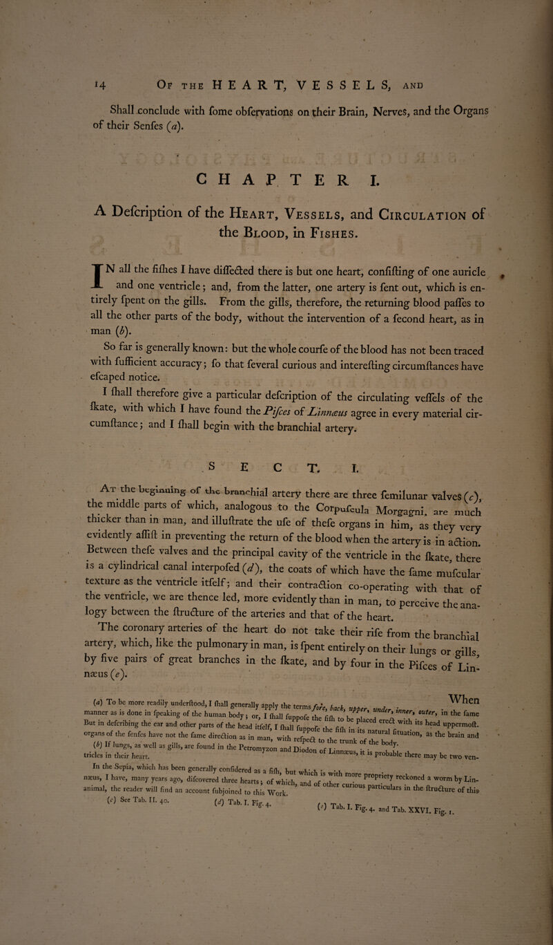 I 14 0» m HEART, VESSELS, and ' ( 1 Shall conclude with fome obfervations on their Brain, Nerves, and the Organs of their Senfes (a). CHAPTER I. - ■ ■ , 1 * A Defcription of the Heart, Vessels, and Circulation of the Blood, in Fishes. IN all the fifhes I have difle&ed there is but one heart, confifting of one auricle and one ventricle; and, from the latter, one artery is fent out, which is en¬ tirely fpent on the gills. From the gills, therefore, the returning blood pafles to all the other parts of the body, without the intervention of a fecond heart, as in > man (b). 1 r * * So far is generally known: but the whole courfe of the blood has not been traced with fufficient accuracy; fo that feveral curious and interefting circumftances have efcaped notice. I fhall therefore give a particular defcription of the circulating veffels of the Ikate, with which I have found the Pijces of Linnaeus agree in every material cir- cumftance; and I fhall begin with the branchial artery. > v - ” . . ’ , / \ ^ k \ . 1 \ 1 . . ' # 1 4 * 1 \ • N , / SECT. I. At the beginning of the branchial artery there are three femilunar valves (A the middle parts of which, analogous to the Corpufcula Morgagni, are much thicker than in man, and illuftrate the ufe of thefe organs in him, as they very evidently aflift in preventing the return of the blood when the artery is in action Between thefe valves and the principal cavity of the ventricle in the Ikate, there is a cylindrical canal interpofed (d), the coats of which have the fame mufcular texture as the ventricle ltfelf; and their contradion co-operating with that of the ventricle, we are thence led, more evidently than in man, to perceive the ana¬ logy between the ftrudure of the arteries and that of the heart. The coronary arteries of the heart do not take their rife from the branchial artery, which, like the pulmonary in man, is fpent entirely on their lungs or gills by five pairs of great branches in the Ikate, and by four in the Pifces of Lin- (a) To be more readily underftood, I (ball generally apply the term* fki. u , When manner as is done in fpeaking of the human body; or, I fhall fuppofe the M t in the fame Bu, in deferibing the ear and other parts of the he d itfelf I ft , ut ? ^ h«d “PM- „r»“■ - JS. rr;r ■ **-“,n *• ’•*->- - ■**» - *■—. * - „ „„ In the Sepia, which has been generally confidered as a filL t- 1. • . , nacus, I have, many years ago, difeovered three hearts • of which Ini' f'T reckoned a worm by Lin- animal, the reader will find an account fubjoined to this Work- * ° ° Kr tunous particulars in the ftrudure of this (c) See Tab. IT. 40. (</) Tab. I. Fig. 4. t \ t K T f