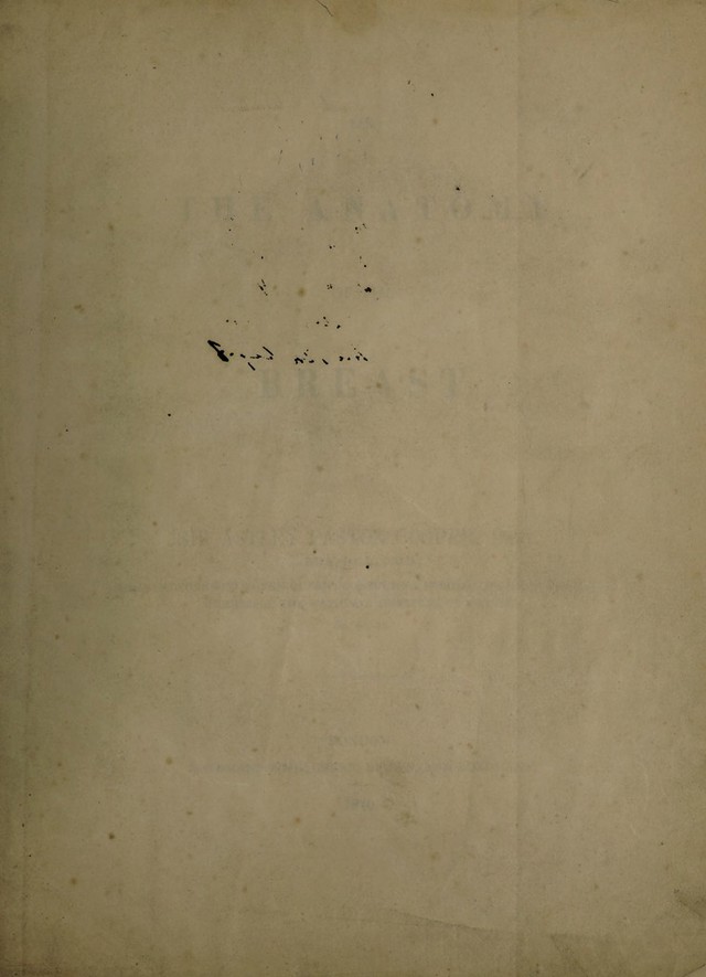 digitised image 3
