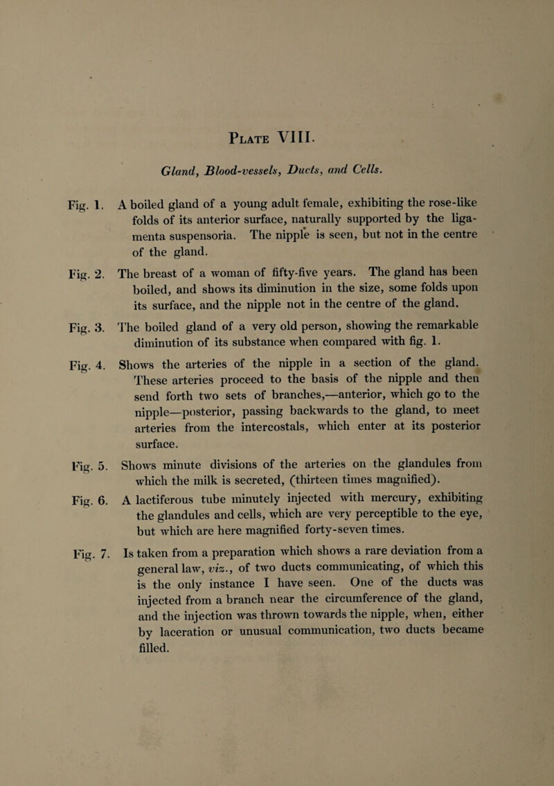 Gland, Blood-vessels, Ducts, and Cells. Fig. 1. A boiled gland of a young adult female, exhibiting the rose-like folds of its anterior surface, naturally supported by the liga- menta suspensoria. The nipple is seen, but not in the centre of the gland. Fig. 2. The breast of a woman of fifty-five years. The gland has been boiled, and shows its diminution in the size, some folds upon its surface, and the nipple not in the centre of the gland. Fig. 3. The boiled gland of a very old person, showing the remarkable diminution of its substance when compared with fig. 1. Fig. 4. Shows the arteries of the nipple in a section of the gland. These arteries proceed to the basis of the nipple and then send forth two sets of branches,—anterior, which go to the nipple—posterior, passing backwards to the gland, to meet arteries from the intercostals, which enter at its posterior surface. Fig. 5. Show's minute divisions of the arteries on the glandules from which the milk is secreted, (thirteen times magnified). Fig. 6. A lactiferous tube minutely injected with mercury, exhibiting the glandules and cells, which are very perceptible to the eye, but which are here magnified forty-seven times. Fig. 7. Is taken from a preparation which shows a rare deviation from a general law% viz., of two ducts communicating, of which this is the only instance I have seen. One of the ducts was injected from a branch near the circumference of the gland, and the injection was thrown towards the nipple, when, either by laceration or unusual communication, two ducts became filled.