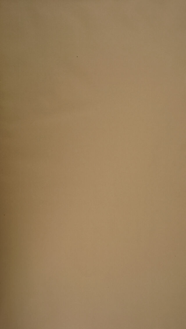 digitised image 3