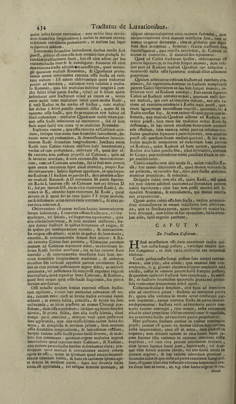 quam unica ficeret extremitas : non nefeio loco motio¬ nem fecundum longitudinem a multis in dubium revoca¬ ri fcd eam inferius ita probabimus , ut nullum hac fupei* refupereiit dubium . Locomotio fecundum latitudinem duobus modis fieri poteft, primus cft cura offa non omnino funt ptolapfa fe¬ cundum craffitudinem fuam, hoceft cum adhuc per fua extremafra(5fa interfe fe contingunt: fecundus eft cum duo extrema fradta ad cubitfm accefferunt, quod contin¬ git quoniam mufculi Rotundus , & Quadratus prona¬ tionis motui infervientes extrema offis fradta ad cubi¬ tum trahunt : Eft autem obfervanduni quod trahantur parum ad interiora , trahuntur vero validius a mufeu- lo Rotundo, quia hic mufculus inferitur longius a pun¬ cto fulcri illius partis fradfa: , relate ad fe folam quam .inferebatur ante fracturam relate ad totum os , nemo enim nefeit hunc mufculum inferi parti medite Radii , fi vero Radius in fui medio eft fradtus , tunc raufeu- lus didus a fulcri pundo omnino diftat , quum fit in extremo offis fradi, quo fit ut majorem vim habeat ad illud trahendum : mufculus Quadratus trahit etiam par¬ tem offis fradi inferiorem ad interiorem , fed id non facit aeque facile nec tanta vi ac mufculus Rotundus. Explicata ratione , qua offis extrema ad Cubitum acce¬ dunt, idebque loco mota funt fecundum latitudinem, de¬ venio nunc ad probandam, 6c demonftrandam locomo- tionem Radii fecundum longitudinem : Jundura enim Radii cum Cubito videtur obfiftere huic locomotioni ; verum ad cam probandam, obfetvare eft, quod duo of¬ fis extrema non poffunt propelli ad Cubitum , quin ad fe invicem accedant, fi veto extrema fibi invicem occur¬ rant, tuncad Cubitum accedent, fedidfierinon poterit quin unum extremum fnper aliud afeendat, propter Ra¬ dii curvaturam : Infpicefiguram appofitam,in quafuppo- no Radium II fradum in pundo D, dico primum adio- nc mufculi Rotundi A D extremum M partis fuperio- lis Radii L laturum effe ad Cubitum non per lineam D G, fed per lineam D F, ita lu cum extremum Radii L de¬ veniet in E, afeendet fuper extremum M Radii , quod deverit in E quod fiet in toto fpatio FF idque probabi¬ tur fi defetibatur arens circuli circa centrum C, bi alter gt- cus circa centrum A . Obfervandunt eft autem nullam harum locomoticnem locum habituram , fi extremis offium fradorum , vel inx qualitates, vel fpicula , vel fragmenta reperirentur , quia alia aliis includerentur, &c loco motioni refifterenti Ita¬ que damur fradurx in quibus locomotio cft exigua, Sc in quibus per confequentiara cxtenfio , & contraexten- fio exigux effe debent i at in iis in quibus fit locomotio, extenfio, & contraextenfio femper fieri debent : fi Ra¬ dii exrrema Cubito funt proxima , Chirurgus patientis manum ad Cubitum deprimere debet, ut extremum in¬ ferius Radii fursum attollatur, ita ut hac ratione fiant extenfio , & contraextenfio neceffarix huic loco mo¬ tioni fecundum longitudinem medendx , & ambabus manibus fibi invicem oppofitis partem anteriorem Cu¬ biti in ejus partem pofteriorem urgere debet, ut mufculi anteriores , vel pofteriores ficcompreffl cogantur ingredi intervallum, quod repetitur inter Cubitum, & Radium, quod fieri nequit quin offis fradi fragmenta, feu partes fursum attollantur. Offi redudo quidam ferulas extremis offium frado¬ rum applicant, verum hxc methodus admodum cft no¬ xia, tantum enim abeft ut ferulx fradis extremis inniti debeant , ut contra fafcix, penicilla, & ferulx ita funt collocanda , ut idem prxftent ac manus Chirurgi prs- flabant, dum offa reponebant j ideoque applicatis fimplici fplenio, &c prima fafeia, duo alia craffa fplenia, aliud nempe parti anteriori , alterum vero parti pofteriori funt applicanda, qux duo craffa fplenia eadem fafeia fir¬ mata , 6c compreffa fe invicem pellant , loco motioni offis fecundum longitudinem, & latitudinem icflftant, hacque ratione offis fradi partes facile firment, & in de¬ bito fitu contineant; quoniam cogent mufculos ingredi intervallum quod reperitur inter Cubitum, & Radium, qua ratione partes fradx fursum detinebuntur clatxj prx- terquam quod mufculi fc contrahentes majori conatu agent in offa , quam in fplenium quod eorum intumef- centia^ exteriori refiftic, & hanc ob rationem fplenia age¬ re debent in medium partis .- fuper hac fecunda fafeia tertia eft applicanda , vel reliquo fccundx utendum, ad aliquot circumvolutiones circa manum faciendas , qux circumvolutiones circa manum neceffarix funt, tum uc manus inquiete detineatur, tiim uc globulus quo digiti femi flexi detinentur , firmetur : cbarex craffiores dux fupcralligantur, pars mitella involvitur, Sc Cubicus ac manus in commodo, & naturali fitu reponuntur. Qiiod ad Cubiti fraduram fpedat, obfervanduni cft partem fuperiorem in fua fede femper manere , dum infe¬ rior pars ad Radium mufculi Quadrari ope adducitur i dummodo nullx offis fquammx mufculi illius adionem prxpediant. Quidam arbitrantur cubitum fradum ad exteriora pro¬ minere; fed experientia docemur in fraduris complicatis partem Cubiti fuperiorem in fua fede femper manere, in¬ feriorem vero ad Radium accedere : Pars autem fuperior Cubiti ad Radium accedere nequit, quoniam nulli dan¬ tur mufculi, qui cam ad interiora trahant, nec ulla ra¬ tione ad exteriora recedendo a Radio trahi poteft, quo¬ niam ligamentum interoffeum impedit, quominus hic a Radio receffus fiat. At non eadem eft ratio partis ejus in¬ ferioris, qux mufculi Qiiadrati adione ad Radium ac¬ cedere poteft; licet enim hic mufculus motui Radii fic fleftinatus , in hac tamen occafione contrarium omnino edit effedum, cum enim ea cubiti pars cui inferitur mu¬ fculus quadratus feparatura parte fuperiori, non amplius poteft effe punduni fixum mufculi quadrati, & hic mu¬ fculus magis fic comparatus ad trahendam hanc partem ad Radium, quam Radium ad hanc partem, quoniam Radius duo habet punda fixa, aliud in brachio, alterum in Carpo; pars vero inferior cubiti pundum fixum in car¬ po tantiini habet . Cubiti redudio non alio modo fit, quam redudio Ra¬ dii; hocT tamen diferiminis eft, quod manus vertenda fic ad pollicem, ut extenfio fiat, dum pars frada amb.ibus manibus propellitur, Sc reducitur. Deligatio cubici nonalia eft, quam Radii , nifi quod tot non debent adhiberi cautiones ad firmandam partem cubiti fuperiorern; cum hxc non poffit moveri nifi fe¬ cundum flexionem, &: extenfionem, qui motus mitella erit prxpediendus. Qiium ambo cubiti offa funt frada , exdem properao- dum circumflantix in eorum redudione funt obfervan- dx , qux ex )!trudura partis, quam femper ob oculos ha¬ bere debcmu$, non folum in hac operatione, fed in omni¬ bus aliis, facili negotio patebunt, CAPUT y. J)e FrA^HTA CoflArum. H Aud neceffarium effe duco examinare caufas qui¬ bus coftx frangi poffunt , vaiiofquc modos qui¬ bus franguntur , uc inde v-iria methodus eas reducendi eliciatur. Caufx quibus coftx frangi poffunt funt omnes contun¬ dentes , alix plus, alix minus; qux maxime funt con¬ tendentes, V. g. glandes plumbcxfclopeto amplioris tubi cmiffx, coftas in omnem partem facile frangere poffunt; & quoniam ejufmodi fradurx funt complicarx , iis omif- fis , de fraduris funplicibus quasnulla gravianec pcricu- lofa comitanturfymptomata unice agam, Coftarum fradurx fimplices, alix fiunt ad interiores alix ad exteriores partes : fradura ad intetiores partes fit, quum idu violento in media arcus conftarum par¬ tem impetente, earum extrema frada in partes interio¬ res deprimuntur ; fradura vero ad exteriores partes con¬ traria ratione contingit , cum nempe, coftx extremum aliud in aliud propellitur idibus omnino inter fe oppofitis, ita uc exrrema frada ad exteriores partes propellantur. FIxe poftrcina fradura duobus in cafibus contingere poteft; primus cft quum cx duobus idibus duo excrema coftx impetentibus, unus eft in motu, dum alius eft in inquiete; non abfimili ratione ac cum homo humi ja¬ cens fupiniis idu violento in extremo anteriore coftx impetitur, vel cum rota partem anteriorem thoracis , dum homo fupinus humi jacet, fupertranfit; vel deni¬ que cum homo temone rhedx, vel alio fimili modo in murum urgetur , & hac ratione admodum premitur . Secundus cafus in quo coftx ad partes exteriores frangi pof- funt, eft quum idus duo Coftarum excrema impetentes am¬ bo fimul funt in motu , ur, v.g. cum homo urgetur & pre- muue