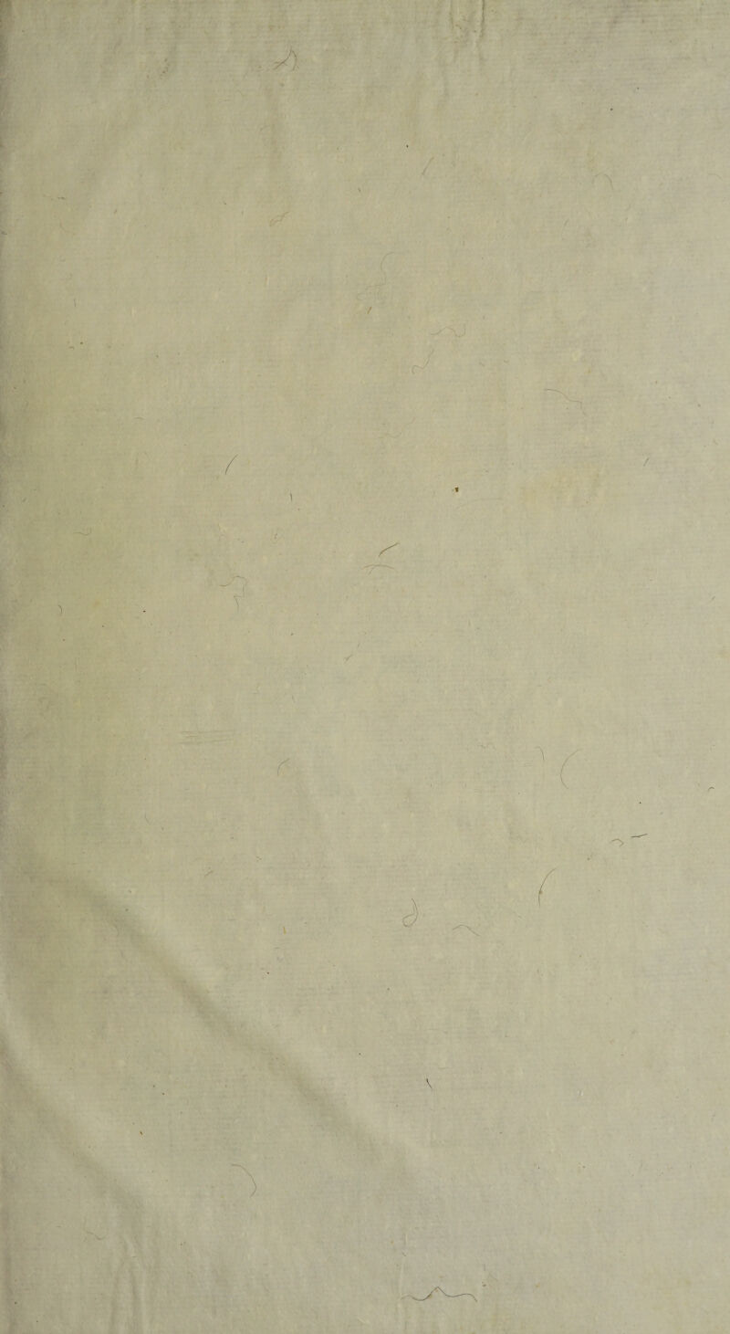 \‘ A w. / ■ r s \ /