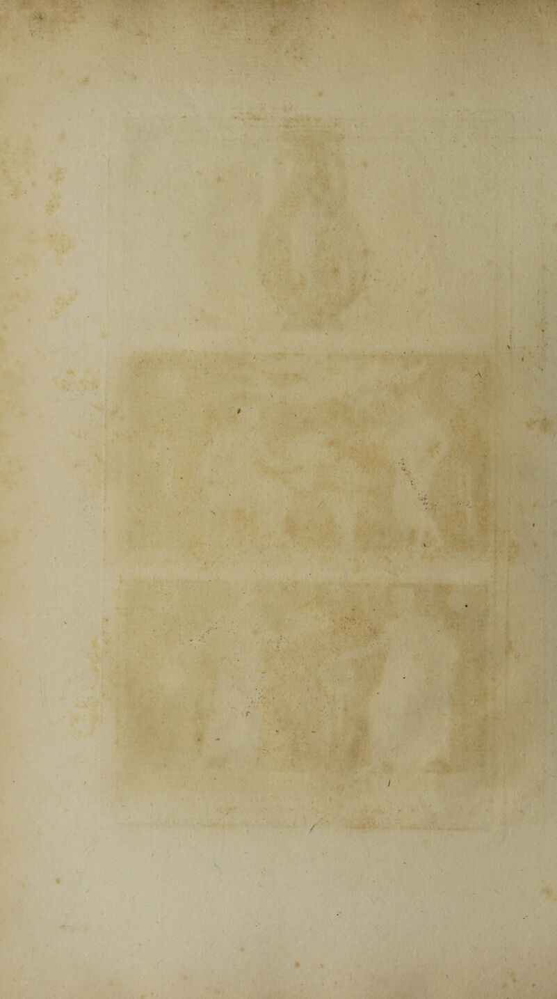 . r >' * •A X I » ^ \