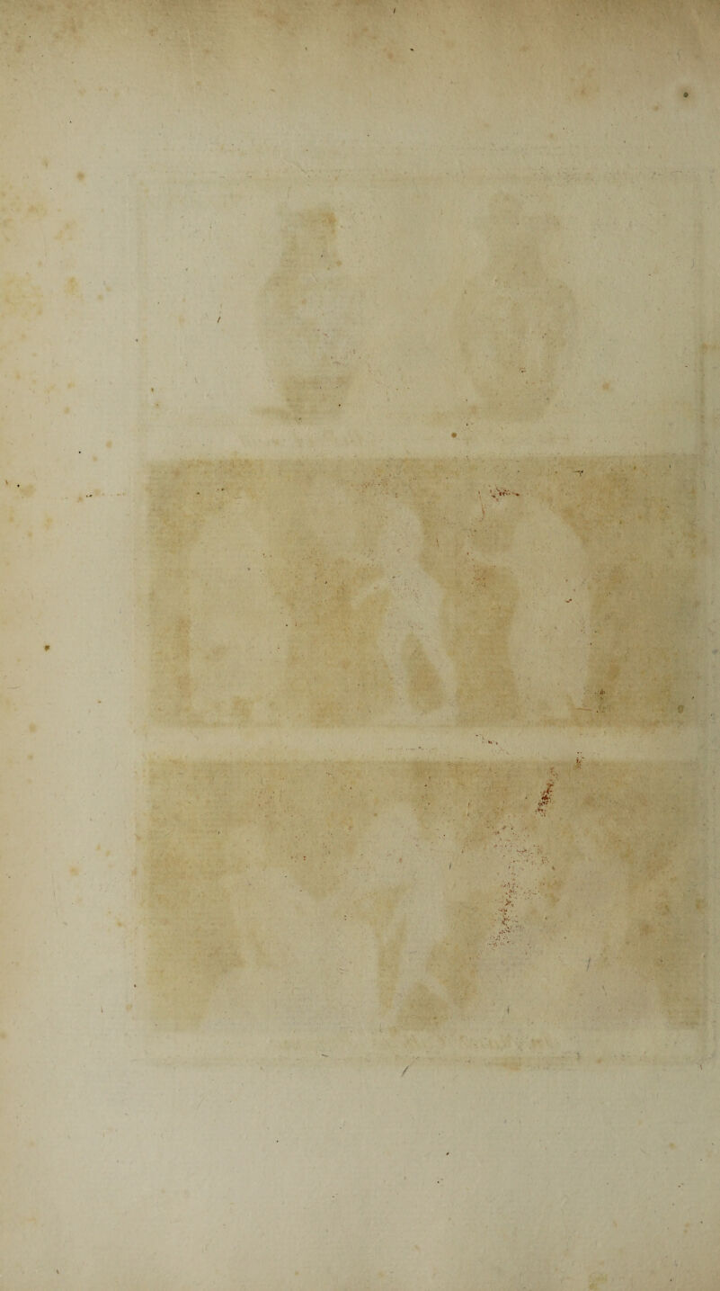 • *' ! , .>■ ' ’ f ? . . - V - * x - ; s ; . -, r ' . ■ r . • * . r, • /*■ ' *\ • Jf > . u <Y f < .. - * ' ^ ' ■ vH-,. v : .-•••» • -v; <•.  ■■■ ?■> r\ / v