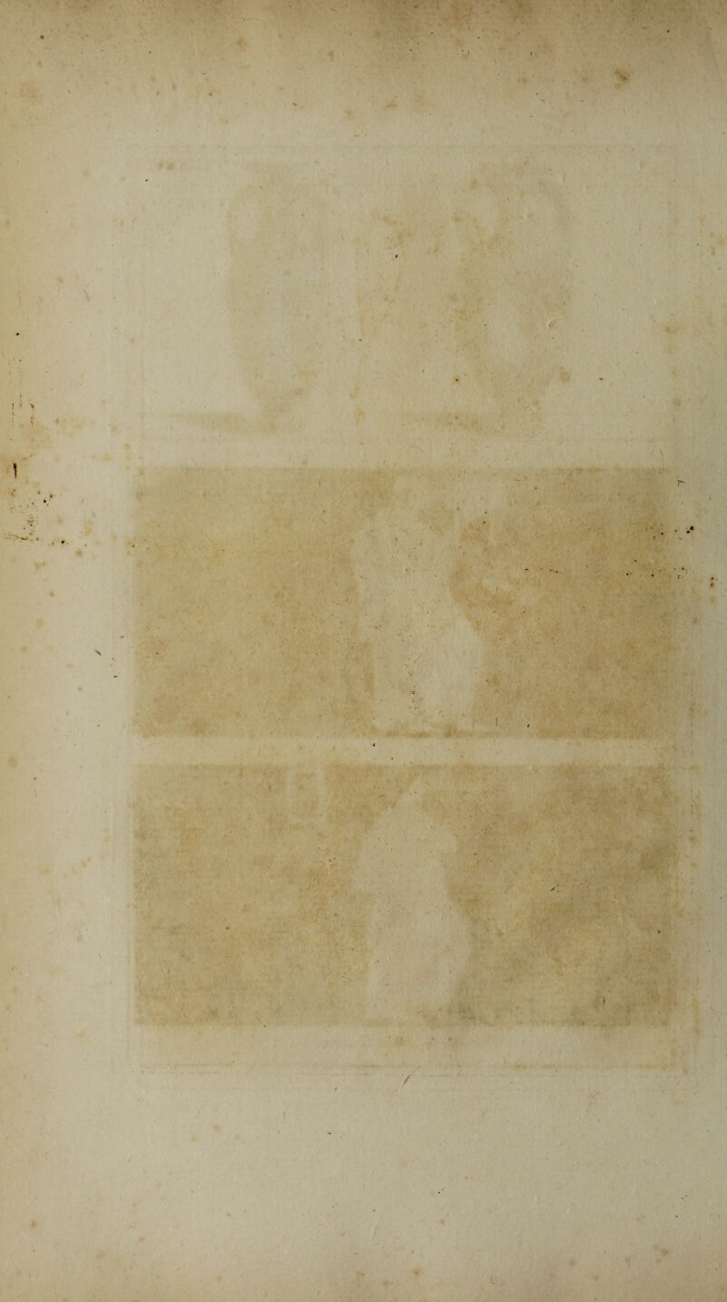 •' V. ' .. 'l >■ r • «a ! '* ! . X a ' - • ■ . . Ss X — • . ‘ -* > . 'il. < ‘i 4 * *- ■ . * • • ■ • r V-, 1 . - -, ;r >, , . >.. ■- i '* • V : ’V. .-V ' n i, v<* y , • i • > »• ., ■ ■ •*¥ ' i 1 : - n V /