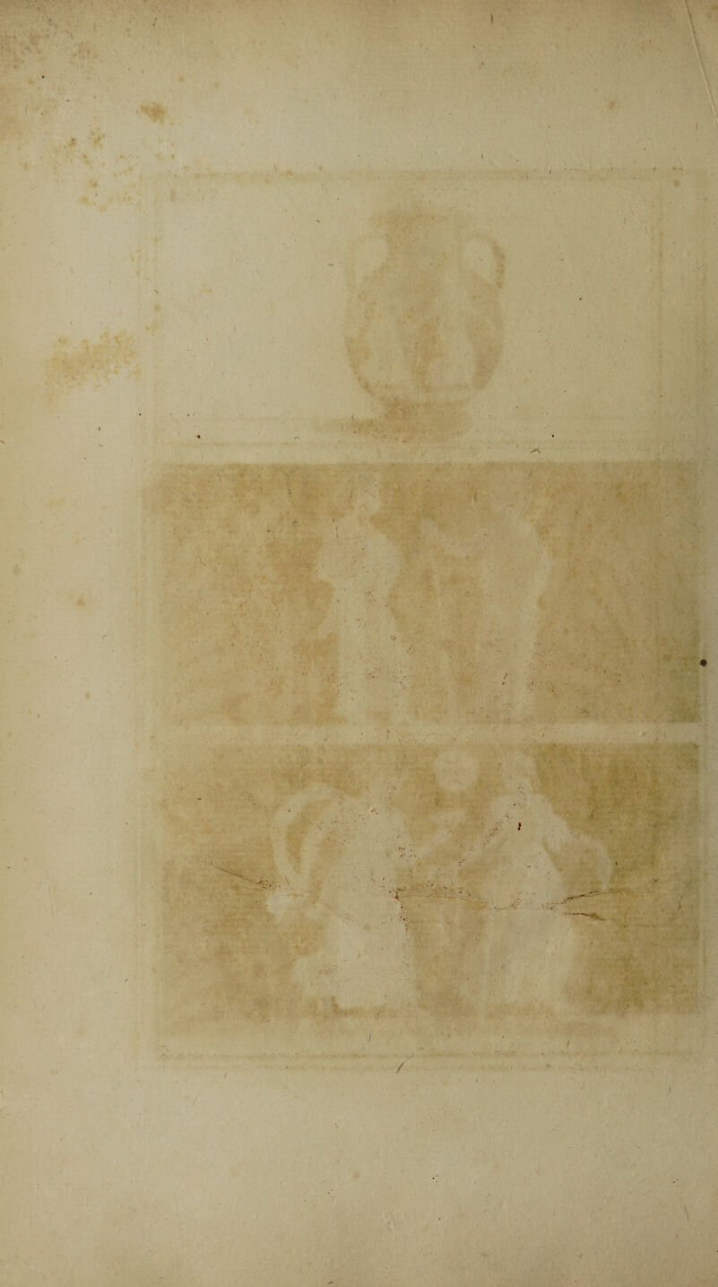 I v i 1 . 4 i r *> ' / \