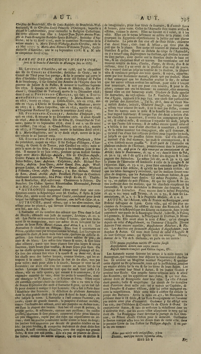 Cbriftmt de Ôrunfivick, fille de Louis-Rodolphe de Brunfwick-Wol- fenbuttel, & de Cbriftinc-Louife Princeffe d’Oetingen, laquelle a abjuré le Luthéranifme, pour embralTer la Religion Catholique. De cette alliance font illus i. Léopold-Jean-Jojcpb-Antoine-Fran- fbis de P aulc-Ermeiigilde-Rodolpbc-Ignace-Balthnjar , Archiduc d’Au¬ triche, né le 13 Avril 1716, mort le quatrième Novembre delà même année ; 2. Marie Théréfe-Wafèurge-Amélie-Chri/linc , née le 13 Mai 1717; 3. Marie-Anne-Eléonore-JVillelmine-JoJ'ephe, Archi- duchelTe d’Autriche, née le 14 Septembre 1718; & 4. N. née le cinquième Avril 1724. RAMEAU DES ARCHIDUCS D’INSPRUCK, J'orti de la branche d'Autriche en Allemagne finie en 1665. XI. Le'opold d’Autriche, né en 1586, qui le cinquième des fils de Charles d'Autriche ; Archiduc de Gratz , eut le Comté de Tirol pour fon partage, & fut le premier qui porta le titre d’Archiduc d’Infpruck. Après avoir été Evêque de Paffau étde Strasbourg, il fut Général des Armées de l’Empire dans les guerres de Juliers & de Paffau,. & mourut le ttoifiëme Septem¬ bre 1632. il époufa en 1626, Claude de Médicis, fille de Fer¬ dinand I, Grand-Duc de Tofcanè', morte le 2$ Décembre 1648 > dont il eut r. Ferdinand-Charles , qui fuit; 2. Sigis- M o n d-F r a N ç 01 s, mentionné ci-après ; 3. Marie.Eléonore, née en 1627, morte en 1629; 4. Ifabelle-Claire, née en 1629, ma¬ riée en 1649, à Charles de Gonzague, Duc de Mantoue, morte en 1685; & 5* Marie Léopoldine, née en 1632, mariée en 1648, à l’Empereur Ferdinand III, morte le neuvième Avril 1649. XII. Ferdinand-Charles , Archiduc d’Infpruck , na¬ quit en 1628, & mourut le 30 Décembre i6<?2. Il avoit époufé en 1646 , Ame de Médicis, fille de Corne II, Grand-Duc de Tof- cane, morte le 12 Septembre 1676, dont il eut 1. un fils mord en naiffânt, l’an 1654; 2. Claude-Félicité, née en 1(553, mariée en 1673, à l’Empereur Léopold, morte Iè huitième Avril 1676; & 3. Marie-Magdclaine, née le 17 Août i(5s<5, morte de la pe¬ tite-vérole le 20 Janvier 1669. XII. Sigismond-François Archiduc d’Infpruck, frère du précédent, naquit en 1630. Il fut Evêque d’Illingen, d’Aus- bourg, de Gurck Sc de Trente, puis Cardinal en 1655; mais a- près la mort de fon frère, il renonça à fes bénéfices pour fe ma¬ rier. Il mourut le 25 Juin 1665, pendant qu’on traitoit fonma- riage avec Marie - Hedwige - Auguftt , fille de Chriftian-Augufte , Comte Palatin de Suksbach. * Gullliman, Hifi. Arch. Auftriac. Julius Bellus, Laur. Auftriacà. Cufpinien, Auftr. Richard Bar- thoîin, Auftria. Jean Gans, Arbor Gtneal. Dom. Auftr. Wolf- gangus Lazius, de Auftr. G* Comment, in Gencal. Auftr. Wicherd à Polheim, Cbron. Auftr. Bertius , /. 2. Rer. Germait. Gérard de Roo, Annal. Archid. Auftr. Froiffard. Philippe de Comines. Guillaume Lamormaini, Idea Princ. Chrift. Ferdin. II. Thulde- nus & Brachelius, Hifi. noftritcmp. Chantereau Je Febvre. Du Bouchet. Du Chêne. Spener. Rittershuilus. Montandré, Portrait de la Maif. d'Autr. Imhof. Not. Imp. * AUTRONIUS foupçonné d’être entré dans une con- fpiration contre la République avec M. Craffus, P. Sylla & Jules Céfar,fut, après avoir été déiigné Conful,condamné pour avoir brigué les fuffrages du Peuple. Suetone , dans la Vie de Céfar. ch. 9. AUTRUCHE, grand oifeau, qui a les ailes courtes, fort eftimé pour les plumes, qui fervent d’ornement aux chapeaux, aux lits, aux dais, &c. L’Autruche eft du nombre des oifeaux que Dieu dans la Loi de Moyfe, défendit aux Juifs de manger, Lévitique, ch. 11. v. 16. Les Perfes en trouvoient la chair fi bonne, que non feule¬ ment ils en mangeoient, mais que même iis en fervoient fur les tables de leurs P.ois. Heracl. Cuman. apud Athcn. I. 4. c. 17. Les Autruches fb chaffent en Afrique. Elles font fi communes au Pérou, qu’elles vont par troupes comme le bétail. Les Sauvages en mangent la chair, & leurs œufs font bofis, cjuoique de difficile di- gellion. Les femelles font prefouè toutes mêlées de gris , de noir & de blanc. Les mêles font blancs Sc noirs, & font bien plus eftimez , parce que leurs plumes font plus larges & mieux fournies, leurs bouts plus touffus, & leurs foyes plus fines. On ne les chaffe qu’après leur mue, & lorsque leur plumage eft fec. Ce font des oifeaux fort vites à la courfe & au demi vol, Sc on les chaffe avec des barbes harpez, comme lévriers, qui les at¬ trapent à la courfe. L’Autruche fe fert de fes ailes, non pas pour voler; mais pour aider à fa courfe, lorsque le vent lui eft favorable ; car alors elle s’en fert comme un navire fait de fes voiles. Lorsque l’Autruche voit que fes œufs font prêts à é- clorre, elle ' en cafte quatre, qui venant à fe corrompre, il s’y engendre quantité de vers, dont fes petits fe nourriffent, com¬ me témoigne le P. Acaret, en fa Relation du Pérou. Elien avoit dit autrefois quelque chofe de femblable. On a vu vers le Cap de Bonne Efpérance des œufs d’Autruche fi gros, qu'un feül fuf- fit pour donner à manger à fept hommes. On a fait à Paris dans l’Académie des Sciences, la difleétion de plufieurs Autruches dont la plus grande étoit de fept piez Scdemi de haut, depuis la tête jufqu’à la terre. L’Autruche a l’œil comme l’homme , en ovale, ayant de grands fourcils, la paupière d’enhaut mobile, contre l’ordinaire des oifeaux, avec une paupière au dedans com¬ me l’ont la plupart des brutes. Son bec eft court & pointu, fa langue petite, & adhérente, comme aux poiffons ; fes cuiffes groffes, charnues & fans plumes, couvertes d’une peau blanche un peu rougeâtre, rayée par des rides qui répréfentent un ré- feau , dont les mailles pourroient laiffer entrer le bout du doigt; fes jambes font couvertes par devant de grandes éCailles en ta¬ ble; fes piez fendus, & compofez feulement de deux dôits fort grands, & auffi couverts d’écailles, avec des ongles aux grands doits, & non pas aux petits. Elle n’a pas de plumes de diver- fes fortes, comme les autres oifeaux, qui en ont de molles & A U T. yçC de lanugineufes, pour leur fervir de fourrure, & d’autre J dure* & fermes, pour voler. Celles de l’AütrucKe font toutes molles & effilées, comme le duvet. Elles ne fervent ni à voler, ni à les vêtir. Elles ont le tuyau juftement au milieu de la plumé: fc’eft pourquoi les Egyptiens répréfentoient la Jultice par une plume d Autruche. La peau de fon cou eft de chair livide, couverte d un duvet blanc, clair- femé Sc luifant, qui tient plus du poil que de la plume. Son corps eft couvert dé plumes noires, blanches & grifes. Quaht au dedans du Corps de l’Autruchè, on y a trouvé cinq diaphragmes bu cloifons, qui divifent le tronc en cinq parties, dont quatre ont la fituation droite de haut eri bas, & un cinquième fitué eh travers. Ses ventricules ont été trouvez remplis de foin, d’herbe, d’orge, de fèves, d’os & de cailloux, dont il y en avoit de la groffeur d’un œuf de poule. On a trouvé dans un jufqu’au nombre de 70 doubles, la plupart ufez Sc confilmez prefque des trois quarts, & rayez, apparèm- ment par leur frottement mutuel, plutôt quê par érofion. Mais il faut remarquer que les Autruches avalent le fer, de même que les autres oifeaux avalent les cailloux, pour aider à broyer leur nourriture, & non pas pour s’eh nourrir, & pour le di¬ gérer, comme ont cru les Anciens: au contraire, elles meurent^ quand elles en ont beaucoup avalé. Diodore de Sicile appelle; les Autruches, des cerfs-oifeaux. Le P. Vanfiebe, dans fa Rela¬ tion d'Egypte, rapporte à la page 103, une fchofe fort particulière en parlant des Autruches. ,, J’ai lu, dit-il, dans un vieux Ma¬ li nufcrlt Arabe, intitulé, Giauharet Iitncfijfc , que lorsque cet „ oifeau veut couver fes œufs, il ne fe met pas dsffus, comme „ font les autres; mais le mâle Sc la femelle les couvent avec „ leur regard feulement; & lorsque l’un des deux a befoin d’al- ,, 1er chercher fa nourriture, il avertit fon compagnon par fon ,; cri, & celui-ci refte, & continue à regarder fes œufs, jufqu’à „ ce que l’autre foit revenu ; St de même encore quand celui-ci „ a befoin^ à fon tour d’aller chercher fa nourriture, il avertit ,, de la même maniéré fon compagnon, afin qu'il demeure, & ,, qu ainfl l’un d’eux foit tûftjours préfent pour regarder les èeufs, ,i jufqu’à ce que lès pouffins foient éclos. Car s’ils diïconti- „ rtuoient d’un fèiil moment, les œufs fe corromproient, & iï „ n’en fertiroit aucun pouffm ”. Il eft parlé de l’Autruche en plufieurs endroits de l’Ecriture, premièrement dans le Lévitique, ch. II. v. 16, ainfi qu’on l’a déjà remarqué au commencement de cet Article', dans le Deuteronome, ch. 14. v. 15; dans lé livre de Job, ch. 30. v. 19, où il dit qu’il a été le frère des dragons St le com¬ pagnon des Autruches. Le même Job dit, au ch. 39. v. 13. què la plume de l’Autruche eft femblable à celle de la cicogne Sc de l’épervier. Ifaïe, ch. 13. v. 21, pour faire entendre que Babylo- ne fera tout à fait déferte, & qu’elle ne fera jamais rebâtie, dit que les bêtes fauvagess’y retireront, que fes maifons feront rem¬ plies de dragons, que les Autruches y viendront habiter,& que les Satyres y feront leurs danfes. Le même Prophète, ch. 34. v: 13 , eh parlant dil païs d’Edom, dit que les épines & les or¬ ties croîtront dans fes maifons, que les chardons rempliront fes fortereffes, St qu’elle deviendra la demeure des dragons, & le pâturage des Autruches. Voyez, encore dans le même Prophète* ch. 43. v. 20; voyez auffi Jérémie, ch. 50. v. 39, Sc dans fes La¬ mentations, th. 4. v. 3; 'Sc le Prophète Michée, ch. 1. v. 8. AUTUN, fur l’Arroux, ville de France en Bourgogne, avec Evêché fuffragant de Lyon. Cette ville, qui eft des plus an¬ ciennes du Royaume, fut célébré du tems des Romains, & fut la Capitale de la République desEduens ou Autunois, dont le païs contenoit une partie de la Bourgogne Duché, laBreffe, le Forez* leLyonnois, le Beaujolois, la Principauté dé Dombes.lë Niver- vernois, Scc. Elle avoit alors le nom d’Ædua , qu’on changea depuis en celui d’Auguftbdumim, en l’honneur d’Augufte. Divers Auteurs l’ont encore appellée, Aùguftodunum Æduorum , Sc Fia- via. Les Anciens ont prononcé Augusdura d’Auguftodmum, puis Augdun Sc Autun. Ce nom étoit formé de celui d’Augufte & du mot Celtique dunum, qui lignifie ville ou montagne. Herric, Auteur de la Vie de S. Germain, en parle en ces termes; Urbs quoque profeBum meritis & nomme fumflt Augujlodunum demum cum coepta vocari Àugufii montent transfert quod Celtica hngua, &c. Les Autunois eurent fouvent les armes à la main contre les Auvergnats, qui vouloient leur difputer la Souveraineté des Gau¬ les. Ils avoient un Magiftfat nommé Vergobrette; Sc quoique cette dignité ne fût qu’annuelle, ceux qui la poffédoïent, avoient un empire abfolu fur la vie Sc fur les biens de leurs Sujets. Les Druïdës avoient leur Sénat à Autun, Sc les jeunes Gaulois y avoient leur Ecole, Ces peuplés furent tbûjours airris & alliez des Romains, qui les appelèrent leurs frères, Sc qui leur don¬ nèrent drôit de Bourgeoifie dans leur ville. La ville d’Autuit étoit grande, belle Sc magnifique. Le circuit de fes murailles étoit d’environ deux mille pâs: ori y voyoit un Capitole, di vers Temples & d’autres édifices, dont les relies marquent en- cote la magnificence. Mais cette ville fi célébré fut enfuite h proye des Barbares. Attila la ruina en 451, les Normands la pillèrent dans le IX fiéclc,& les Rois Bourguignons ne I’avoient pas traitée avec plus d’humanité. Godemar y fut affiégé vers l’an 523 , par Childebert & Clotaire fils de Clovis le Grand. Ils emportèrent Autun, Sc tant de malheurs la réduifirent dans un fi miférable état, que les autres villes ufurpérent le rang qui lui étoit dû. La Bourgogne étant devenue le partage do Roi Gon- tran , ce Prince choifit Châlon pour fa demeure. Guillaume le Breton marque affez bien les divers états de cette ville, dan» le premier Livre de fon Poème fur PhiUppeAugvfte, Il en par¬ le en ces termes: /Edua quos mittit urbs anti qui filma, p lena Divitii}, multifquc tumens legmibus eltm, iiab bh 2 Rt-