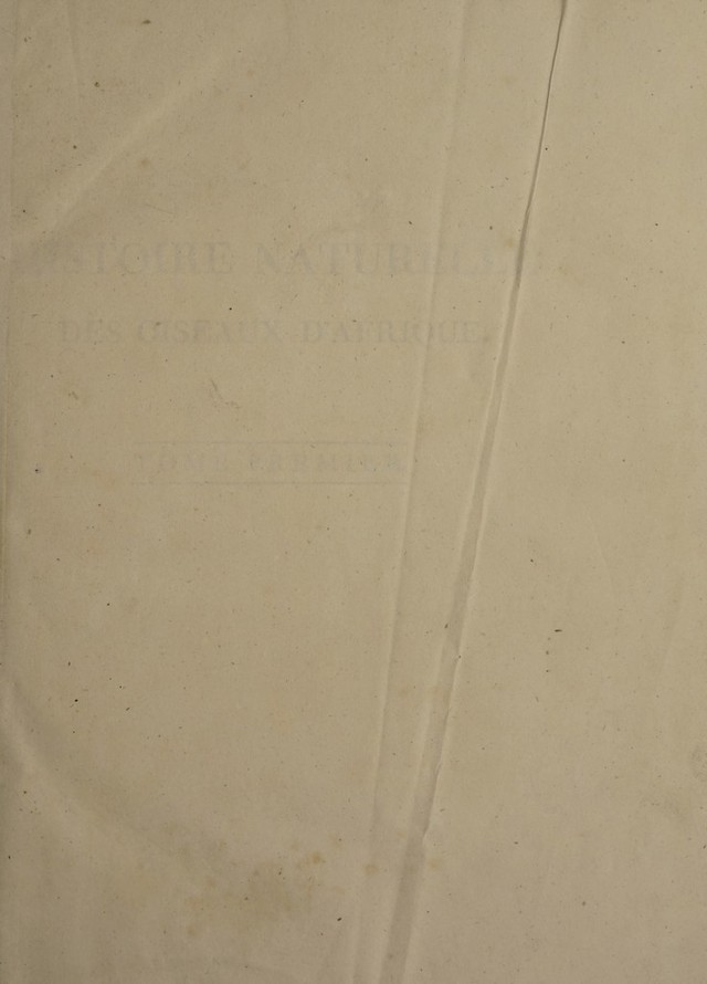 digitised image 3