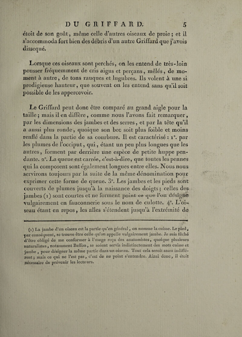 étolt de son goût, meme celle d’autres oiseaux de proie ; et il s’accommoda fort bien des débris d’un autre GrilFard que j’avois disséqué. Lorsque ces oiseaux sont perchés, on les entend de très-loin pousser fréquemment de cris aigus et perçans, mêlés, de mo¬ ment à autre, de tons rauques et lugubres. Ils volent à une si prodigieuse hauteur, que souvent on les entend sans qu’il soit possible de les appercevoir. Le Griffard peut donc être comparé au grand aigle pour la taille ; mais il en diffère, comme nous l’avons fait remarquer, par les dimensions des jambes et des serres, et par la tête qu’il a aussi plus ronde, quoique son bec soit plus foible et moins renflé dans la partie de sa courbure. Il est caractérisé : i°. par les plumes de l’occiput, qui, étant un peu plus longues que les autres, forment par derrière une espèce de petite huppe pen¬ dante. 2°. La queue est carrée, c’est-à-dire, que toutes les pennes qui la composent sont également longues entre elles. Nous nous servirons toujours par la suite de la même dénomination pour exprimer cette forme de queue. 3°. Les jambes et les pieds sont couverts de plumes jusqu’à la naissance des doigts ; celles des jambes (1) sont courtes et 11e forment point ce que l’on désigne vulgairement en fauconnerie sous le nom de culotte. 4°* L’oi¬ seau étant en repos, les ailes s’étendent jusqu’à l’extrémité de (1) La jambe d’un oiseau est la partie qu’en général, on nomme la cuisse. Le pied, par conséquent, se trouve être celle qu’on appelle vulgairement jambe. Je suis fâché d’être obligé de me conformer à l’usage reçu des anatomistes, quoique plusieurs naturalistes , notamment Buffon, se soient servis indistinctement des mots cuisse et jambe , pour désigner la même partie dans un oiseau. Tout cela seroit assez indiffé¬ rent j mais ce qui ne l’est pas, c’est de ne point s’entendre. Ainsi donc, il étoit nécessaire de prévenir les lecteurs.