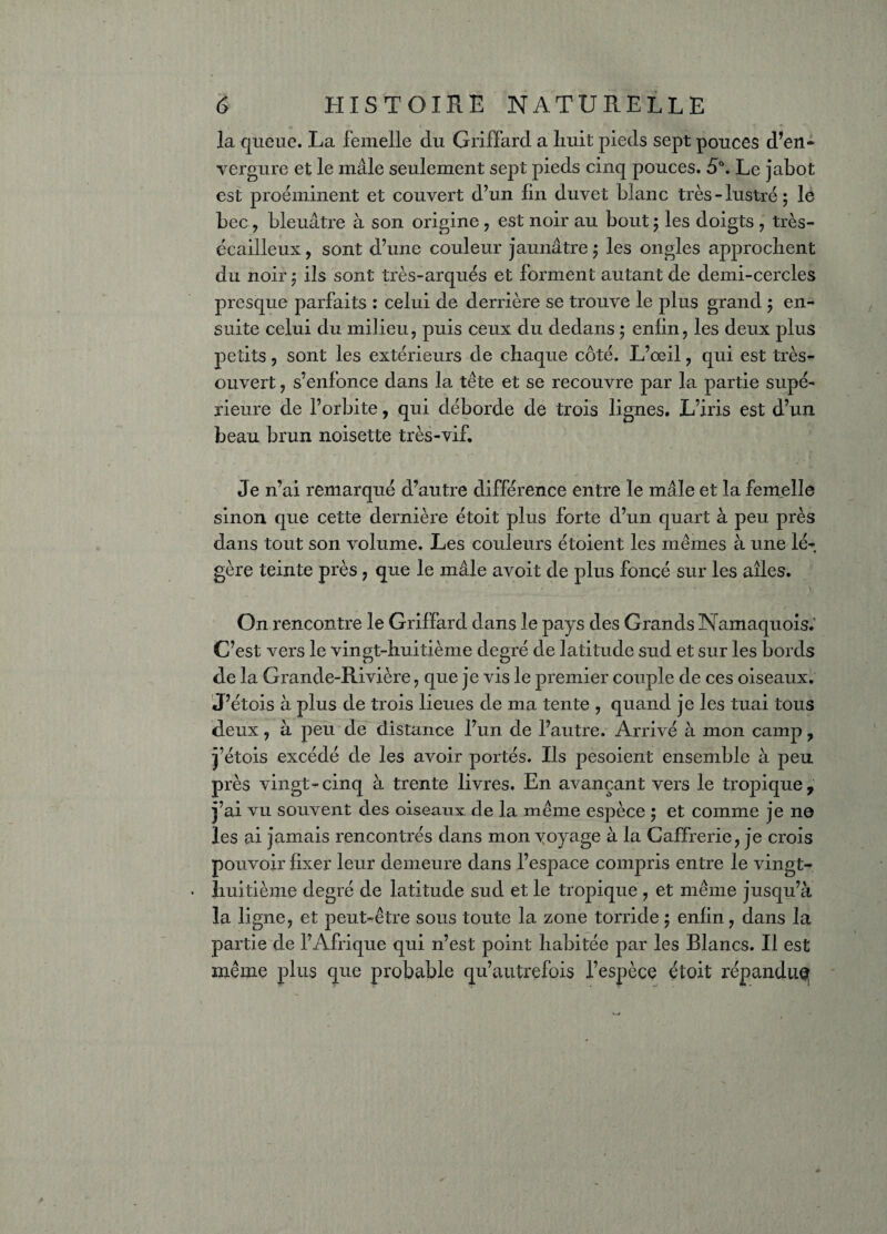 la queue. La femelle du Griffard a liuit pieds sept pouces d’en¬ vergure et le mâle seulement sept pieds cinq pouces. 5°. Le jabot est proéminent et couvert d’un fin duvet blanc très-lustré; le bec , bleuâtre à son origine , est noir au bout ; les doigts , très- écailleux , sont d’une couleur jaunâtre ; les ongles approchent du noir ; ils sont très-arqués et forment autant de demi-cercles presque parfaits : celui de derrière se trouve le plus grand ; en¬ suite celui du milieu, puis ceux du dedans ; enfin, les deux plus petits, sont les extérieurs de chaque côté. L’œil, qui est très- ouvert , s’enfonce dans la tête et se recouvre par la partie supé¬ rieure de l’orbite, qui déborde de trois lignes. L’iris est d’un beau brun noisette très-vif. Je n’ai remarqué d’autre différence entre le mâle et la femelle sinon que cette dernière étoit plus forte d’un quart à peu près dans tout son volume. Les couleurs étoient les mêmes à une lé¬ gère teinte près, que le mâle avoit de plus foncé sur les ailes. On rencontre le Griffard dans le pays des Grands Namaquois.' C’est vers le vingt-huitième degré de latitude sud et sur les bords de la Grande-Rivière, que je vis le premier couple de ces oiseaux. J’étois à plus de trois lieues de ma tente , quand je les tuai tous deux, à peu de distance l’un de l’autre. Arrivé à mon camp , j’étois excédé de les avoir portés. Ils pesoient ensemble à peu près vingt-cinq à trente livres. En avançant vers le tropique, j’ai vu souvent des oiseaux de la même espèce ; et comme je ne les ai jamais rencontrés dans mon voyage à la Caffrerie, je crois pouvoir fixer leur demeure dans l’espace compris entre le vingt- liuitième degré de latitude sud et le tropique , et même jusqu’à la ligne, et peut-être sous toute la zone torride ; enfin, dans la partie de l’Afrique qui n’est point habitée par les Blancs. Il est même plus que probable qu’autrefois l’espèce étoit répanduq