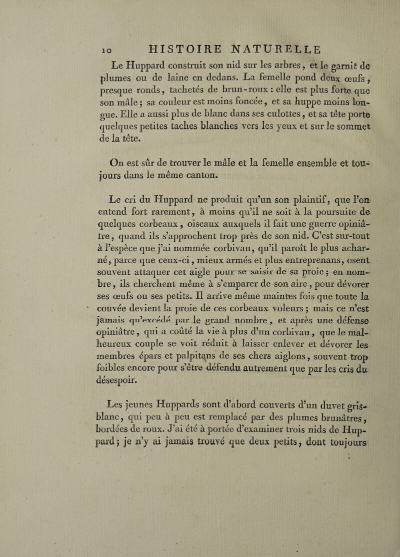 Le Huppard construit son nid sur les arbres , et le garnit de plumes ou de laine en dedans, La femelle pond deux œufs 7 presque ronds , tachetés de brun-roux : elle est plus forte que son nielle ; sa couleur est moins foncée , et sa huppe moins lon¬ gue. Elle a aussi plus de blanc dans ses culottes, et sa tête porte quelques petites taches blanches vers les yeux et sur le sommet de la tête. On est sûr de trouver le mâle et la femelle ensemble et tou¬ jours dans le même canton. Le cri du Huppard ne produit qu?un son plaintif, que l’on entend fort rarement , à moins qu’il ne soit à la poursuite de quelques corbeaux , oiseaux auxquels il fait une guerre opini⬠tre 7 quand ils s’approchent trop près de son nid. C’est sur-tout à l’espèce que j’ai nommée corbivau, qu’il paroît le plus achar¬ né, parce que ceux-ci, mieux armés et plus entreprenans, osent souvent attaquer cet aigle pour se saisir de sa proie ; en nom¬ bre , ils cherchent même à s’emparer de son aire , pour dévorer ses œufs ou ses petits. Il arrive même maintes fois que toute la ‘ couvée devient la proie de ces corbeaux voleurs ; mais ce n’est jamais qu’exrérlé par le grand nombre ? et après une défense opiniâtre, qui a coûté la vie à plus d’un corbivau , que le mal¬ heureux couple se voit réduit à laisser enlever et dévorer les membres épars et palpitans de ses chers aiglons, souvent trop foibles encore pour s’être défendu autrement que par les cris du désespoir. Les jeunes Huppards sont d’abord couverts d’un duvet gris- blanc , qui peu à peu est remplacé par des plumes brunâtres, bordées de roux. J’ai été à portée d’examiner trois nids de Hup¬ pard 5 je n’y ai jamais trouvé que deux petits, dont toujours