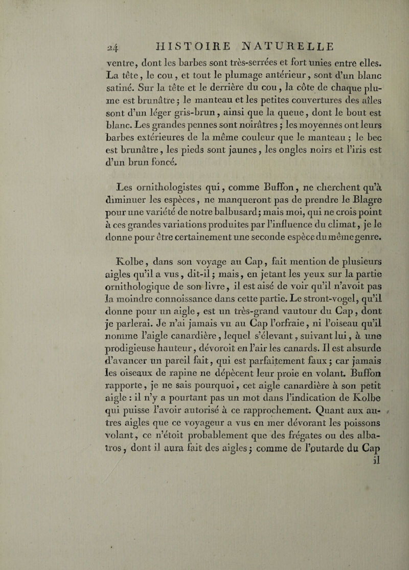 ventre, dont les barbes sont très-serrées et fort unies entre elles. La tête, le cou, et tout le plumage antérieur, sont d’un blanc satiné. Sur la tête et le derrière du cou, la côte de chaque plu¬ me est brunâtre ; le manteau et les petites couvertures des ailes sont d’un léger gris-brun, ainsi que la queue, dont le bout est blanc. Les grandes pennes sont noirâtres ; les moyennes ont leurs barbes extérieures de la même couleur que le manteau ; le bec est brunâtre, les pieds sont jaunes, les ongles noirs et l’iris est d’un brun foncé. Les ornithologistes qui, comme Buffon, ne cherchent qu’à diminuer les espèces, ne manqueront pas de prendre le Blagre pour une variété de notre balbusard; mais moi, qui ne crois point à ces grandes variations produites par l’influence du climat, je le donne pour être certainement une seconde espèce du même genre. Kolbe, dans son voyage au Cap, fait mention de plusieurs aigles qu’il a vus , dit-il ; mais, en jetant les yeux sur la partie ornithologique de son livre, il est aisé de voir qu’il n’avoit pas la moindre connoissance dans cette partie. Le stront-vogel, qu’il donne pour un aigle, est un très-grand vautour du Cap, dont je parlerai. Je n’ai jamais vu au Cap l’orfraie, ni l’oiseau qu’il nomme l’aigle canardière, lequel s’élevant, suivant lui, à une prodigieuse hauteur, dévoroit en l’air les canards. Il est absurde d’avancer un pareil fait, qui est parfaitement faux ; car jamais les oiseaux de rapine ne dépècent leur proie en volant. Buffon rapporte, je ne sais pourquoi, cet aigle canardière à son petit aigle : il n’y a pourtant pas un mot dans l’indication de Kolbe qui puisse l’avoir autorisé à ce rapprochement. Quant aux au¬ tres aigles que ce voyageur a vus en mer dévorant les poissons volant, ce n’étoit probablement que des frégates ou des alba¬ tros , dont il aura fait des aigles $ comme de l’putarde du Cap il