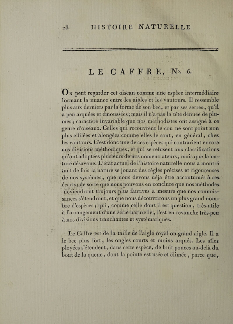 LE CAFFRE, N». 6. O n peut regarder cet oiseau comme une espèce intermediaire formant la nuance entre les aigles et les vautours. Il ressemble plus aux derniers par la forme de son bec, et par ses serres , qu’il a peu arquées et émoussées; mais il n’a pas la tête dénuée de plu¬ mes ; caractère invariable que nos méthodistes ont assigné à ce genre d’oiseaux. Celles qui recouvrent le cou ne sont point non plus effilées et alongées comme elles le sont, en général, chez les vautours. C’est donc une de ces espèces qui contrarient encore nos divisions méthodiques, et qui se refusent aux classifications qu’ont adoptées plusieurs de nos nomenclateurs, mais que la na¬ ture désavoue. L’état actuel de l’histoire naturelle nous a montré tant de fois la nature se jouant des règles précises et rigoureuses de nos systèmes, que nous devons déjà être accoutumés à ses écarts ; de sorte que nous pouvons en conclure que nos méthodes deviendront toujours plus fautives à mesure que nos connois- sances s’étendront, et que nous découvrirons un plus grand nom¬ bre d’espèces ; qui , comme celle dont il est question , très-utile à l’arrangement d’une série naturelle , l’est en revanche très-peu à nos divisions tranchantes et systématiques. Le Caffre est de la taille de l’aigle royal ou grand aigle. Il a le bec plus fort, les ongles courts et moins arqués. Les ailes ployées s’étendent, dans cette espèce, de huit pouces au-delà du bout de la queue, dont la pointe est usée et élimée , parce que,