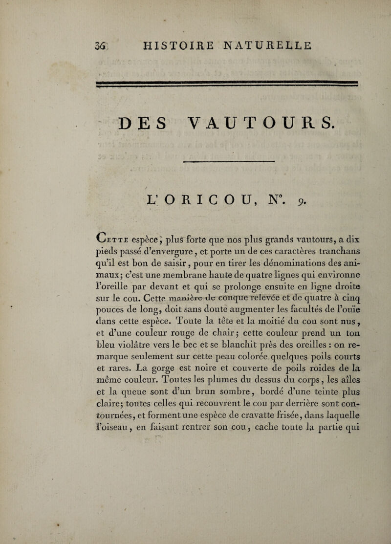 DES VAUTOURS. L; O R I C O U, N*. 9. Cette espèce plus forte que nos plus grands vautours, a dix pieds passé d’envergure, et porte un de ces caractères tranchans qu’il est bon de saisir, pour en tirer les dénominations des ani¬ maux; c’est une membrane haute de quatre lignes qui environne l’oreille par devant et qui se prolonge ensuite en ligne droite sur le cou. Cette manière de conque relevée et de quatre à cinq pouces de long, doit sans doute augmenter les facultés de l’ouïe dans cette espèce. Toute la tète et la moitié du cou sont nus, et d’une couleur rouge de chair; cette couleur prend un ton bleu violâtre vers le bec et se blanchit près des oreilles : on re¬ marque seulement sur cette peau colorée quelques poils courts et rares. La gorge est noire et couverte de poils roides de la même couleur. Toutes les plumes du dessus du corps, les ailes et la queue sont d’un brun sombre, bordé d’une teinte plus claire; toutes celles qui recouvrent le cou par derrière sont con¬ tournées, et forment une espèce de cravatte frisée, dans laquelle l’oiseau, en faisant rentrer son cou, cache toute la partie qui