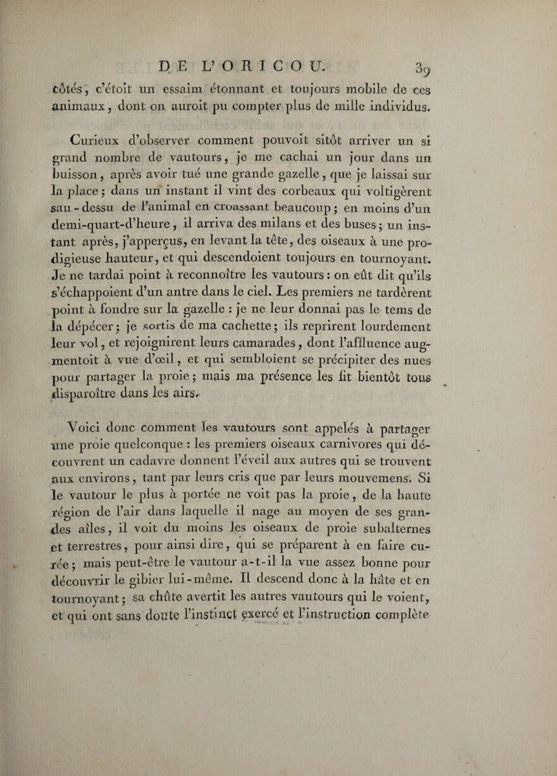 côtes, c’étoit un essaim étonnant et toujours mobile de ces animaux , dont on auroit pu compter plus de mille individus. Curieux d’observer comment pouvoit sitôt arriver un si grand nombre de vautours, je me cachai un jour dans un buisson , après avoir tué une grande gazelle , que je laissai sur la place ; dans un instant il vint des corbeaux qui voltigèrent sau - dessu de l’animal en croassant beaucoup ; en moins d’un demi-quart-d’heure, il arriva des milans et des buses ; un ins¬ tant après, j’apperçus, en levant la tête, des oiseaux à une pro¬ digieuse hauteur, et qui descendoient toujours en tournoyant. Je ne tardai point à reconnoître les vautours : on eût dit qu’ils s’échappoient d’un antre dans le ciel. Les premiers ne tardèrent point à fondre sur la gazelle : je ne leur donnai pas le terns de la dépécer; je sortis de ma cachette; ils reprirent lourdement leur vol, et rejoignirent leurs camarades , dont l’affluence aug- mentoit à vue d’œil, et qui sembloient se précipiter des nues pour partager la proie ; mais ma présence les fit bientôt tous disparoître dans les airs^ Voici donc comment les vautours sont appelés à partager une proie quelconque : les premiers oiseaux carnivores qui dé¬ couvrent un cadavre donnent l’éveil aux autres qui se trouvent aux environs, tant par leurs cris que par leurs mouvemens. Si le vautour le plus à portée ne voit pas la proie, de la haute région de l’air dans laquelle il nage au moyen de ses gran¬ des ailes, il voit du moins les oiseaux de proie subalternes et terrestres, pour ainsi dire, qui se préparent à en faire cu¬ rée ; mais peut-être le vautour a-t-il la vue assez bonne pour découvrir le gibier lui-même. Il descend donc à la hâte et en tournoyant ; sa chute avertit les autres vautours qui le voient, et qui ont sans doute l’instinct exercé et l’instruction complète