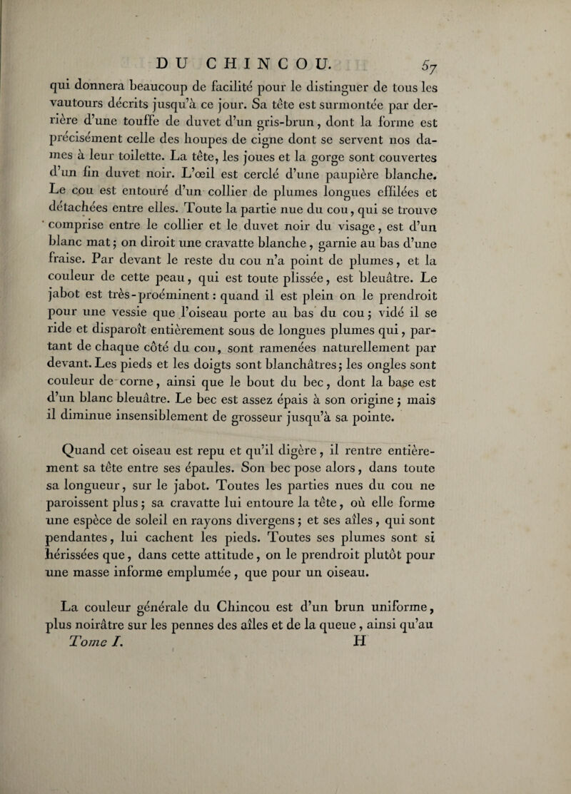 DUCHINCOU. S7 qui donnera beaucoup de facilité pour le distinguer de tous les vautours décrits jusqu’à ce jour. Sa tête est surmontée par der¬ rière d’une touffe de duvet d’un gris-brun , dont la forme est précisément celle des lioupes de cigne dont se servent nos da¬ mes à leur toilette. La tête7 les joues et la gorge sont couvertes d’un lin duvet noir. L’œil est cerclé d’une paupière blanche. Le cou est entouré d’un collier de plumes longues effilées et détachées entre elles. Toute la partie nue du cou, qui se trouve ‘ comprise entre le collier et le duvet noir du visage, est d’un blanc mat ; on diroit une cravatte blanche , garnie au bas d’une fraise. Par devant le reste du cou n’a point de plumes, et la couleur de cette peau, qui est toute plissée, est bleuâtre. Le jabot est très - proéminent : quand il est plein on le prendroit pour une vessie que l’oiseau porte au bas du cou ; vidé il se ride et disparoît entièrement sous de longues plumes qui, par¬ tant de chaque côté du cou, sont ramenées naturellement par devant. Les pieds et les doigts sont blanchâtres ; les ongles sont couleur de corne, ainsi que le bout du bec, dont la base est d’un blanc bleuâtre. Le bec est assez épais à son origine 5 mais il diminue insensiblement de grosseur jusqu’à sa pointe. Quand cet oiseau est repu et qu’il digère, il rentre entière¬ ment sa tête entre ses épaules. Son bec pose alors, dans toute sa longueur, sur le jabot. Toutes les parties nues du cou ne paroissent plus ; sa cravatte lui entoure la tête, où elle forme une espèce de soleil en rayons divergens 5 et ses ailes , qui sont pendantes, lui cachent les pieds. Toutes ses plumes sont si hérissées que, dans cette attitude, on le prendroit plutôt pour une masse informe emplumée, que pour un oiseau. La couleur générale du Chincou est d’un brun uniforme, plus noirâtre sur les pennes des ailes et de la queue, ainsi qu’au Tome I. H