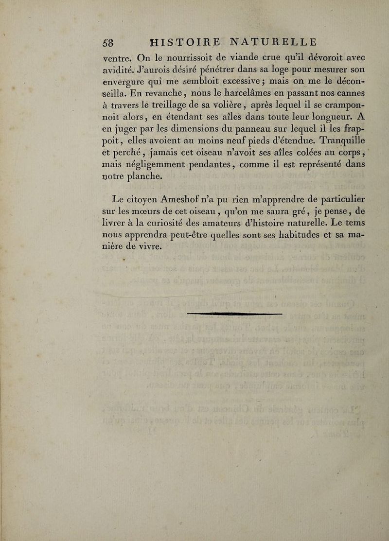 ventre. On le nourrissent cle viande crue qu’il dévoroit avec avidité. J’aurois désiré pénétrer dans sa loge pour mesurer son envergure qui me sembloit excessive ; mais on me le décon¬ seilla. En revanche, nous le harcelâmes en passant nos cannes à travers le treillage de sa volière, après lequel il se crampon- noit alors ? en étendant ses ailes dans toute leur longueur. A en juger par les dimensions du panneau sur lequel il les frap- poit, elles avoient au moins neuf pieds d’étendue. Tranquille et perché, jamais cet oiseau n’avoit ses ailes colées au corps, mais négligemment pendantes ? comme il est représenté dans notre planche. Le citoyen Ameshof n’a pu rien m’apprendre de particulier sur les mœurs de cet oiseau , qu’on me saura gré ? je pense ? de livrer à la curiosité des amateurs d’histoire naturelle. Le tems nous apprendra peut-être quelles sont ses habitudes et sa ma¬ nière de vivre. i