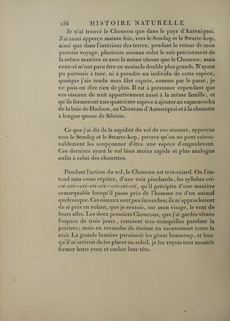 Je n’ai trouvé le Choucou que clans le pays d’Auteniquoî. J’ai aussi apperçu mainte fois, vers le Sondag et le Swarte-kop, ainsi que dans l’intérieur des terres, pendant le retour de mon premier voyage, plusieurs oiseaux voler le soir précisément de la meme manière et avec la même vitesse que le Choucou ; mais ceux-ci m’ont paru être au moins le double plus grands. N’ayant pu parvenir à tuer, ni à prendre un individu de cette espèce, quoique j’aie tendu mon blet exprès, comme par le passé, je ne puis en dire rien de plus. Il est à présumer cependant que ces oiseaux de nuit appartiennent aussi à la même famille, et qu’ils formeront une quatrième espèce à ajouter au caparacochx de la baie de Hudson, au Choucou d’Auteniquoi et à la chouette à longue queue de Sibérie. Ce que j’ai dit de la rapidité du vol de ces oiseaux, appercus vers le Sondag et le Swarte-kop, prouve qu’on ne peut raison¬ nablement les soupçonner d’être une espèce d’engoulevent. Ces derniers ayant le vol bien moins rapide et plus analogue enfin à celui des chouettes. Pendant faction du vol, le Choucou est très-criard. On l’en¬ tend sans cesse répéter, d’une voix pincharde, les syllabes cri¬ cri-cri—cri-cri-cri—cri-cri-cri, qu’il précipite d’une manière remarquable lorsqu’il passe près de l’homme ou d’un animal quelconque. Ces oiseaux sont peu farouches; ils m’approchoient de si près en volant, que je sentois, sur mon visage, le vent de leurs ailes. Les deux premiers Choucous, que j’ai gardés vivans l’espace de trois jours , restoient très-tranquilles pendant la journée; mais en revanche ils étoient en mouvement toute la nuit. La grande lumière paroissoit les gêner beaucoup, et lors¬ qu’il m’arrivoit de les placerai! soleil, je les voyois tout aussitôt fermer leurs yeux et cacher leur tête.