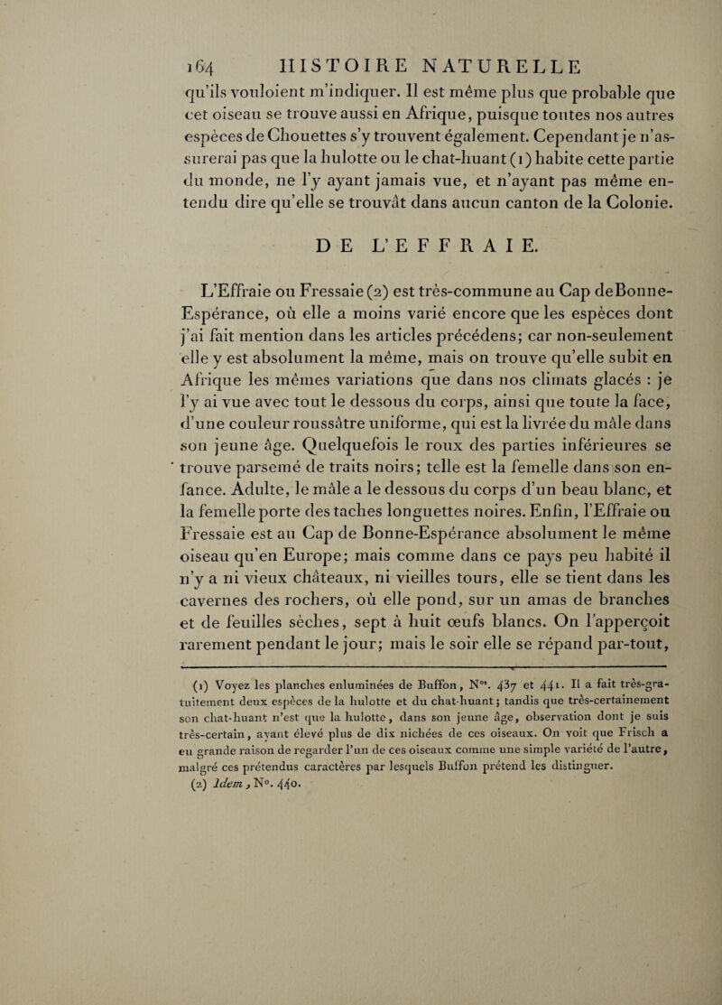 qu’ils vouloient m’indiquer. Il est même plus que probable que cet oiseau se trouve aussi en Afrique, puisque toutes nos autres espèces de Chouettes s’y trouvent également. Cependant je n’as¬ surerai pas que la hulotte ou le chat-huant (1) habite cette partie du monde, ne l’y ayant jamais vue, et n’ayant pas même en¬ tendu dire qu’elle se trouvât dans aucun canton de la Colonie. DE L’ EFFRAIE. L’Effraie ou Fressaie (2) est très-commune au Cap deBonne- Espérance, où elle a moins varié encore que les espèces dont j’ai fait mention dans les articles précédens; car non-seulement elle y est absolument la même, mais on trouve qu’elle subit en Afrique les mêmes variations que dans nos climats glacés : je l’y ai vue avec tout le dessous du corps, ainsi que toute la face, d’une couleur roussâtre uniforme, qui est la livrée du mâle dans son jeune âge. Quelquefois le roux des parties inférieures se trouve parsemé de traits noirs; telle est la femelle dans son en¬ fance. Adulte, le mâle a le dessous du corps d’un beau blanc, et la femelle porte des taches longuettes noires. Enfin, l’Effraie ou Fressaie est au Cap de Bonne-Espérance absolument le même oiseau qu’en Europe; mais comme dans ce pays peu habité il n’y a ni vieux châteaux, ni vieilles tours, elle se tient dans les cavernes des rochers, où elle pond, sur un amas de branches et de feuilles sèches, sept à huit œufs blancs. On fapperçoit rarement pendant le jour; mais le soir elle se répand par-tout, • 1 —--■' 'v*- --— ^ (1) Voyez les planches enluminées de Buffon, N05. 4^7 et 441* a très-gra¬ tuitement deux espèces de la hulotte et du chat-huant; tandis que très-certainement son chat-huant n’est que la hulotte, dans son jeune âge, observation dont je suis très-certain, ayant élevé plus de dix nichées de ces oiseaux. On voit que Friscli a eu grande raison de regarder l’un de ces oiseaux comme une simple variété de l’autre, malgré ces prétendus caractères par lesquels Buffbn prétend les distinguer. (2) Idem , N°. 440.