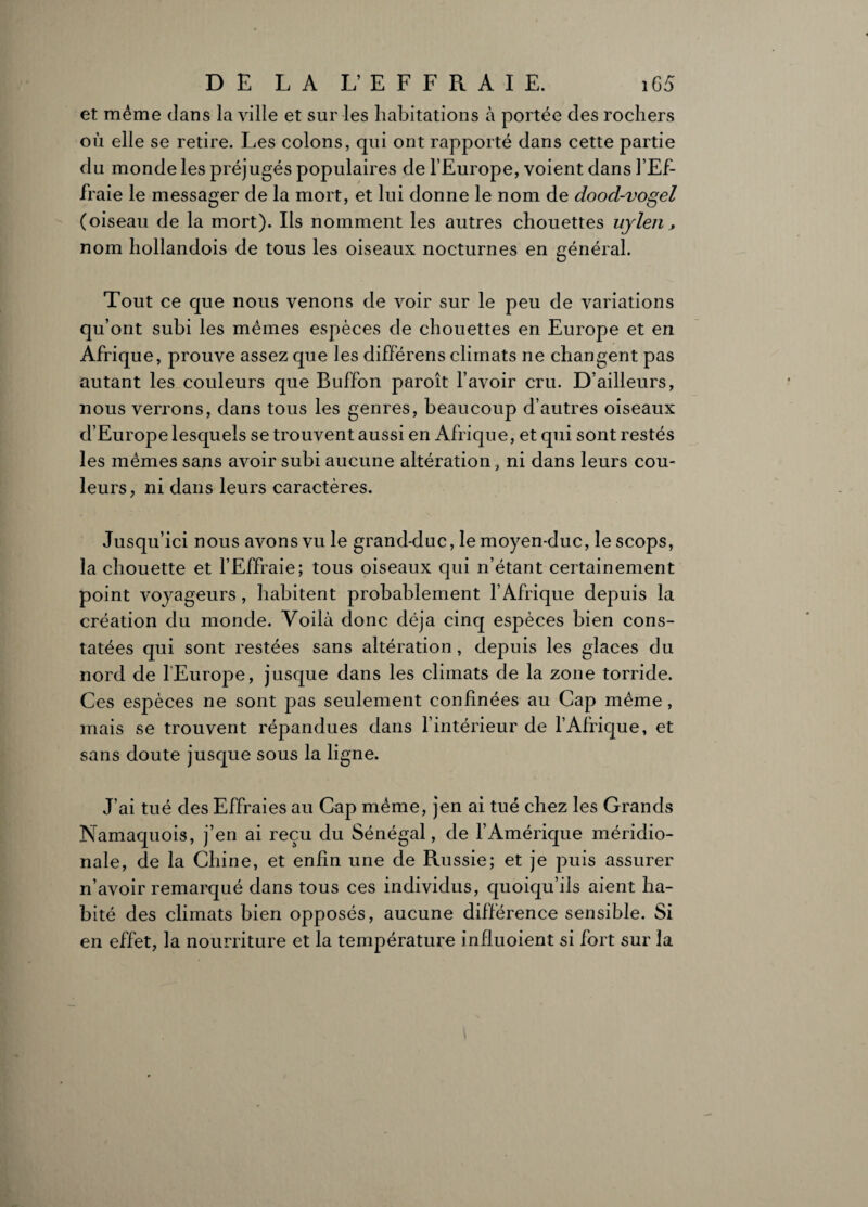 et même dans la ville et sur les habitations à portée des rochers où elle se retire. Les colons, qui ont rapporté dans cette partie du monde les préjugés populaires de l’Europe, voient dans l’Ef¬ fraie le messager de la mort, et lui donne le nom de dood-vogel (oiseau de la mort). Ils nomment les autres chouettes uylen nom hollandois de tous les oiseaux nocturnes en général. Tout ce que nous venons de voir sur le peu de variations qu’ont subi les mêmes espèces de chouettes en Europe et en Afrique, prouve assez que les différens climats ne changent pas autant les couleurs que Buffon paroît l’avoir cru. D’ailleurs, nous verrons, dans tous les genres, beaucoup d’autres oiseaux d’Europe lesquels se trouvent aussi en Afrique, et qui sont restés les mêmes sans avoir subi aucune altération, ni dans leurs cou¬ leurs , ni dans leurs caractères. Jusqu’ici nous avons vu le grand-duc, le moyen-duc, lescops, la chouette et l’Effraie; tous oiseaux qui n’étant certainement point voyageurs , habitent probablement l’Afrique depuis la création du monde. Voilà donc déjà cinq espèces bien cons¬ tatées qui sont restées sans altération , depuis les glaces du nord de l'Europe, jusque dans les climats de la zone torride. Ces espèces ne sont pas seulement confinées au Cap même, mais se trouvent répandues dans l’intérieur de l’Afrique, et sans doute jusque sous la ligne. J’ai tué des Effraies au Cap même, jen ai tué chez les Grands Namaquois, j’en ai reçu du Sénégal, de l’Amérique méridio¬ nale, de la Chine, et enfin une de Russie; et je puis assurer n’avoir remarqué dans tous ces individus, quoiqu’ils aient ha¬ bité des climats bien opposés, aucune différence sensible. Si en effet, la nourriture et la température influoient si fort sur la