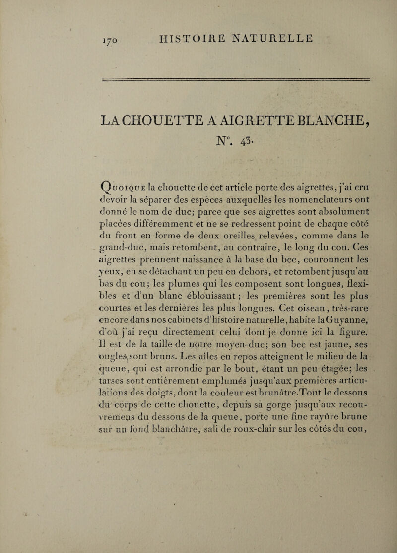 1 iJO ' 7 ‘V * • LA CHOUETTE A AIGRETTE BLANCHE, N°. 43- Quoique la chouette (le cet article porte des aigrettes, j’ai cru devoir la séparer des espèces auxquelles les nomenclateurs ont donné le nom de duc; parce que ses aigrettes sont absolument placées différemment et ne se redressent point de chaque côté du front en forme de deux oreilles relevées, comme dans le grand-duc, mais retombent, au contraire, le long du cou. Ces aigrettes prennent naissance à la hase du bec, couronnent les yeux, en se détachant un peu en dehors, et retombent jusqu’au bas du cou; les plumes qui les composent sont longues, flexi¬ bles et d’un blanc éblouissant ; les premières sont les plus courtes et les dernières les plus longues. Cet oiseau, très-rare encore dans nos cabinets d’histoire naturelle,habite laGuyanne, d’où j’ai reçu directement celui dont je donne ici la figure. Il est de la taille de notre moyen-duc; son bec est jaune, ses ongles, sont bruns. Les ailes en repos atteignent le milieu de la queue, qui est arrondie par le bout, étant un peu étagée; les tarses sont entièrement emplumés jusqu’aux premières articu¬ lations des doigts, dont la couleur est brunâtre.Tout le dessous du corps de cette chouette, depuis sa gorge jusqu’aux recou- vremens du dessous de la queue, porte une fine rayure brune sur un fond blanchâtre, sali de roux-clair sur les côtés du cou, ■ )