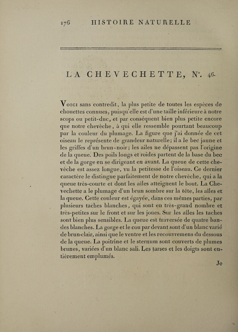 LA G H E Y E G H E T T E, N°. 46- Voici sans contredit, la plus petite de toutes les espèces de chouettes connues, puisqu’elle est d’une taille inférieure à notre scops ou petit-duc, et par conséquent bien plus petite encore que notre chevêche, à qui elle ressemble pourtant beaucoup par la couleur du plumage. La figure que j’ai donnée de cet oiseau le représente de grandeur naturelle; il a le bec jaune et les griffes d’un brun-noir; les ailes ne dépassent pas l’origine de la queue. Des poils longs et roides partent de la base du bec et de la gorge en se dirigeant en avant. La queue de cette che¬ vêche est assez longue, vu la petitesse de l’oiseau. Ce dernier caractère le distingue parfaitement de notre chevêche, qui a la queue très-courte et dont les ailes atteignent le bout. La Che- vechette a le plumage d’un brun sombre sur la tête, les ailes et la queue. Cette couleur est égayée, dans ces mêmes parties, par plusieurs taches blanches, qui sont en très-grand nombre et très-petites sur le front et sur les joues. Sur les ailes les taches sont bien plus sensibles. La queue est traversée de quatre ban¬ des blanches. La gorge et le cou par devant sont d’un blanc varié de brun-clair, ainsi que le ventre et les recouvremens du dessous de la queue. La poitrine et le sternum sont couverts de plumes brunes, variées d’un blanc sali. Les tarses et les doigts sont en¬ tièrement emplumés. Je