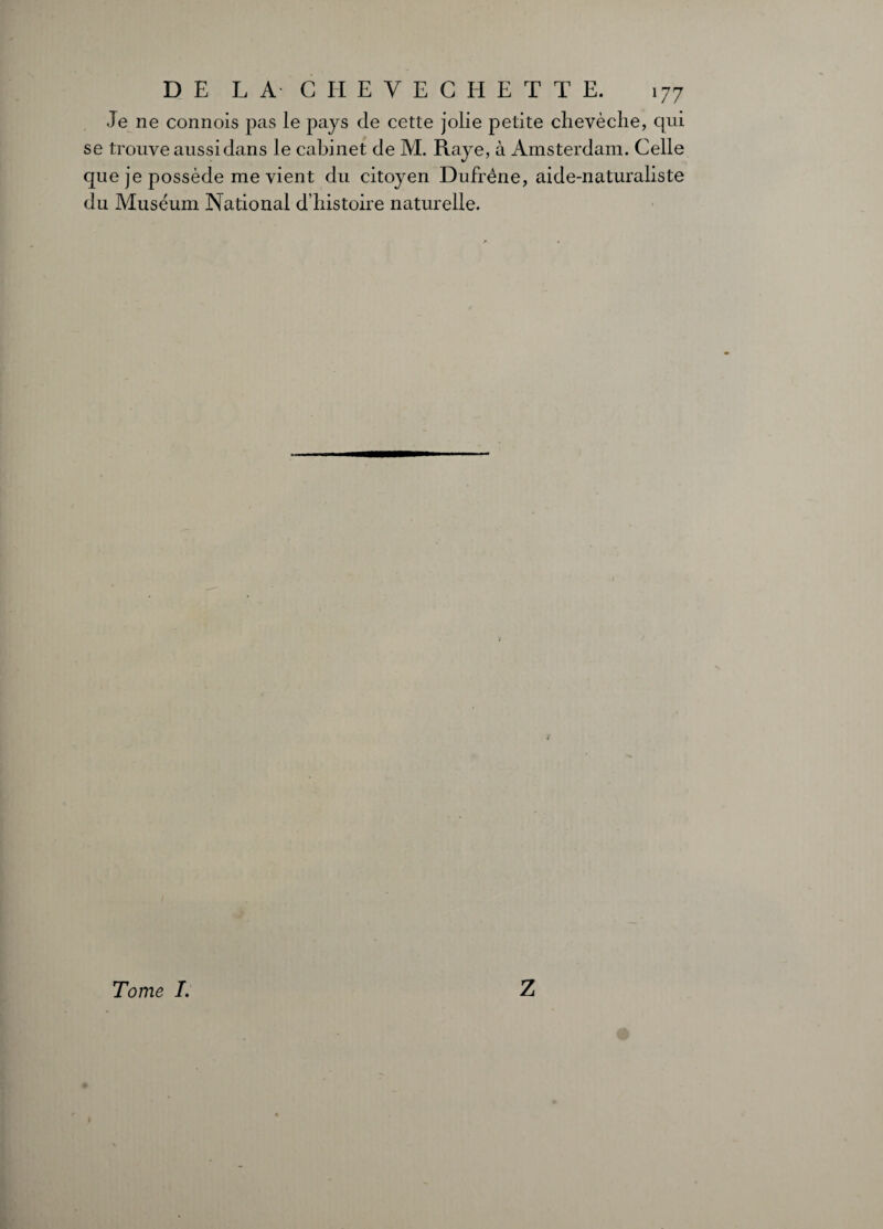 Je ne connois pas le pays de cette jolie petite chevêche, qui se trouve aussi dans le cabinet de M. Raye, à Amsterdam. Celle que je possède me vient du citoyen Dufrène, aide-naturaliste du Muséum National d’histoire naturelle.