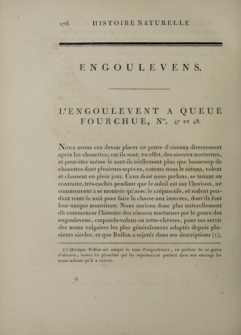 nwwinM——■—h—mmm— ENGOULEVENS. L’ENGOULEVENT A QUEUE FOURCHUE, Nos. 47**48. j\ous avons cru devoir placer ce genre d’oiseaux directement après les chouettes; car ils sont, en effet, des oiseaux nocturnes, et peut-être même le sont-ils réellement plus que beaucoup de chouettes dont plusieurs espèces, comme nous le savons, volent et chassent en plein jour. Ceux dont nous parlons, se tenant au contraire,très-caches pendant que le soleil est sur l’horison, ne commencent à se montrer qu’avec le crépuscule, et rodent pen¬ dant toute la nuit pour faire la chasse aux insectes, dont ils font leur unique nourriture. Nous aurions donc plus naturellement dû commencer l’histoire des oiseaux nocturnes par le genre des engoulevens, crapauds-volans ou tette-chèvres, pour me servir des noms vulgaires les plus généralement adoptés depuis plu¬ sieurs siècles, et que Buffon a rejetés dans ses descriptions (1), (1) Quoique Buffon ait adopté le nom d’engoulevent , en parlant de ce genre d’oiseaux , toutes les planches qui les représentent portent dans son ouvrage les noms mêmes qu’il a rejetés.