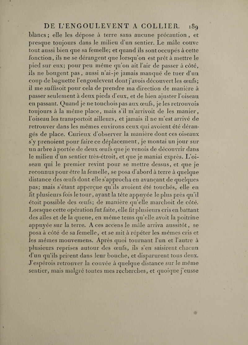 blancs ; elle les dépose à terre sans aucune précaution , et presque toujours dans le milieu d’un sentier. Le mâle couve tout aussi bien que sa femelle; et quand ils sont occupés à cette fonction, ils ne se dérangent que lorsqu’on est prêt à mettre le pied sur eux; pour peu même qu’on ait l’air de passer à coté, ils ne bougent pas, aussi n’ai-je jamais manqué de tuer d’un coup de baguette l’engoulevent dont j’avois découvert les œufs; il me suffisoit pour cela de prendre ma direction de manière à passer seulement à deux pieds d’eux, et de bien ajuster l’oiseau en passant. Quand je ne touclioispas aux œufs, je les retrouvois toujours à la même place, mais s’il m’arrivoit de les manier, l’oiseau les transportoit ailleurs, et jamais il ne m’est arrivé de retrouver dans les mêmes environs ceux qui avoient été déran¬ gés de place. Curieux d’observer la manière dont ces oiseaux s’y prenoient pour faire ce déplacement, je montai un jour sur un arbre à portée de deux œufs que je venois de découvrir dans le milieu d’un sentier très-étroit, et que je maniai exprès. L’oi¬ seau qui le premier revint pour se mettre dessus, et que je reconnus pour être la femelle, se posa d’abord à terre à quelque distance des œufs dont elle s’approcha en avançant de quelques pas; mais s’étant apperçue qu’ils avoient été touchés, elle en fit plusieurs fois le tour, ayant la tète appuyée le plus près qu’il étoit possible des œufs; de manière qu’elle marchoit de côté. Lorsque cette opération fut faite, elle fit plusieurs cris en battant des ailes et de la queue, en même teins qu’elle avoit la poitrine appuyée sur la terre. A ces accens le mâle arriva aussitôt, se posa à côté de sa femelle, et se mit à répéter les mêmes cris et les mêmes mouvemens. Après quoi tournant l’un et l’autre à plusieurs reprises autour des œufs, ils s’en saisirent chacun d’un qu’ils prirent dans leur bouche, et disparurent tous deux. J’espérois retrouver la couvée à quelque distance sur le même sentier, mais malgré toutes mes recherches, et quoique j’eusse