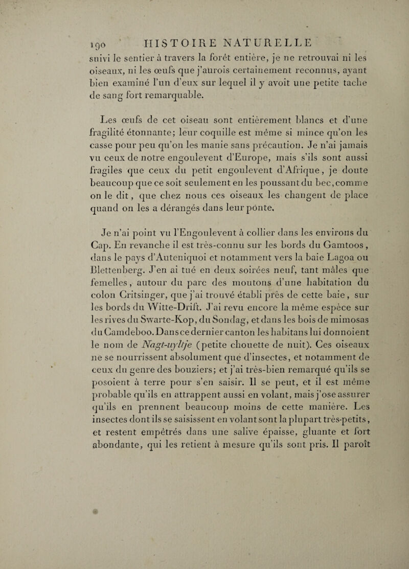 suivi le sentier à travers la forêt entière, je ne retrouvai ni les oiseaux, ni les œufs que j’aurois certainement reconnus, avant bien examiné fun d’eux sur lequel il y avoit une petite tache de sang fort remarquable. Les œufs de cet oiseau sont entièrement blancs et d’une fragilité étonnante; leur coquille est même si mince qu’on les casse pour peu qu’on les manie sans précaution. Je n’ai jamais vu ceux de notre engoulevent d’Europe, mais s’ils sont aussi fragiles que ceux du petit engoulevent d’Afrique, je doute beaucoup que ce soit seulement en les poussant du bec, comme on le dit, que chez nous ces oiseaux les changent de place quand on les a dérangés dans leur ponte. Je n’ai point vu l’Engoulevent à collier dans les environs du Cap. En revanche il est très-connu sur les bords du Gamtoos , dans le pays d’Auteniquoi et notamment vers la baie Lagoa ou Blettenberg. J’en ai tué en deux soirées neuf, tant mâles que femelles, autour du parc des moutons d’une habitation du colon Critsinger, que j’ai trouvé établi près de cette baie, sur les bords du Witte-Drift. J’ai revu encore la même espèce sur les rives du Swarte-Rop, du Sondag, et dans les bois de mimosas du Camdeboo. Dans ce dernier canton les hahitans lui don noient le nom de Ncigt-uyltje (petite chouette de nuit). Ces oiseaux ne se nourrissent absolument que d’insectes, et notamment de ceux du genre des bouziers; et j’ai très-bien remarqué qu’ils se posoient à terre pour s’en saisir. 11 se peut, et il est même probable qu’ils en attrappent aussi en volant, mais j’ose assurer qu’ils en prennent beaucoup moins de cette manière. Les insectes dont ils se saisissent en volant sont la plupart très-petits, et restent empêtrés dans une salive épaisse, gluante et fort abondante, qui les retient à mesure qu’ils sont pris. Il paroît