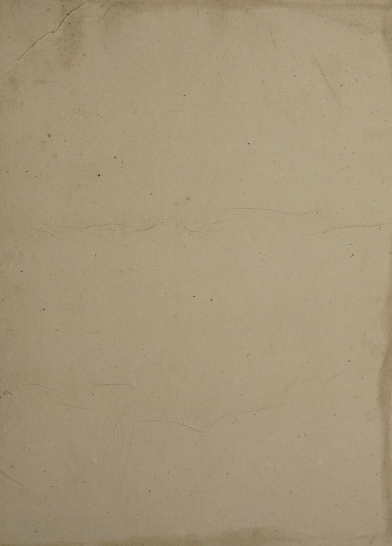 •J ; , *• ■i V / l ✓ I U' ■ 0 I fi \