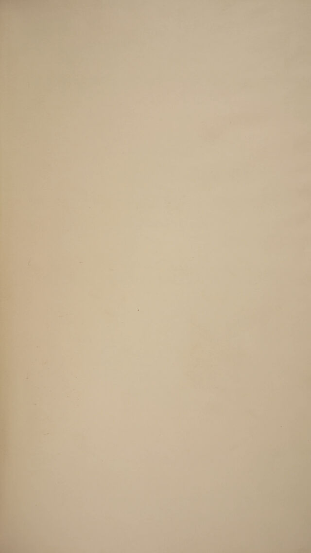digitised image 3