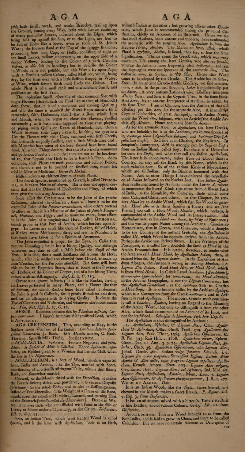 AG A told, hath fmall, weak, and tender Branches, trailing upon the Ground, leaning every Way, befet with Leaves confifting of many particular Leaves, indented about the Edges, winch being held up againft the Sun, or to the Light, are feen to be full of Holes like a Sieve, even as thofe of St. John’s Wort ; the Flowers ftand at the Top of the fpriggy Branches, proceeding from long Gups, or Hulks, confifting of eight or ten fmairLeaves, yellow % underneath, on the upper Side of a deeper Yellow, tending to the Colour of a dark Crimfon Velvet, as alfo foft in handling; but to defcribe the Colour in Words, it is not poffible, but this Way ; lay upon Paper with a Penfil a yellow Colour, called Mafticot, which, being dry, lay the fame over with a little Saffron fteeped in Water, or Wine, which fetteth forth moll lively the Colour. The whole Plant is of a moft rank and unwholefome Smell, and perilheth at the firft Froft. The unplealant Smell, efpecially of that common Sort wit.:i fingle Flowers (that ftuffeth the Head like to that of Hemlock) doth (hew, that it is of a poifonous and cooling Quality ; and alfo the fame is manifell by divers Experiments ; for I remember, faith Dodonaeus, that I faw a Boy, whofe Lips and Mouth, when he began to chew the Flowers, fwelled extremely ; as it hath often happened to them that playing or piping with Quills or Kexes of Hemlock, hold them a While between their Lips; likewife, he faith, we gave to a Cat the Flowers with their Cups, tempered with frefh Cheefe, fhe forthwith mightily fwelled, and a little While after died ; alfo Mice that have eaten of the Seed thereof have been found dead. All which Things declare, that this Herb is of a venomous and poifonous Faculty ; and that they are not to be hearken¬ ed to, that fuppofe this Herb to be a harmlefs Plant. So to conclude, thefe Plants are moft venomous and full of Poifon, and therefore not to be touched or fmelled unto, much lefs ufed in Meat or Medicine. Gerard's Herbal. Miller reckons up thirteen Species of thefe Plants. The fourth Species, mentioned by Gerard, is called Othon- na, as is taken Notice of above. But it does not appear cer¬ tain, that it is the Othonna of Diofcorides and Pliny, of which they give the following Account : Some aflert the Othonna to be the Juice of the greater Celandine, others of the Glaucinm ; fome will have it to be the exprefled Juice of the Papaver corniculatum, while others pretend to allure us that it is a Mixture of the Juices of female Pimper¬ nel, Henbane, and Poppy ; and to name no more, fome affirm it is the Juice of a troglodytical Herb, called Othonna, Which grows in that Part of Arabia, which borders upon E- gypt. Its Leaves are moft like thofe of Rocket, full of Holes, as if they were Moth-eaten, dirty, and few in Number j fo that fome have taken it for a Species of Anemone. The Juice exprefled is proper for the Eyes, in Cafes that require Cleanfmg ; for it has a biting Quality, and abfterges whatever may dim or caft a Mill before the Pupil of the Eye. It is laid, that a moift Subftance diftils from the Herb, which, after it is wafhed and eleanfed from Gravel, is made up into Troches, for the Purpofes aforefaid. But fome will have this to be an Egyptian Stone, that is found in the Province of Thebais, of the Colour of Copper, and of a hot biting Tafte, mixed with an Aftringency. Diof L. 2. C. 213. Othonna grows in Syria ; it is like the Rocket, having its Leaves perforated in many Places, and a Flower like that of Saffron, for which Reafon fome have called it Anemone. Its Juice is good in Collyria, for it gently ftimulates and dries, and has an aftringent with its drying Quality. It clears the Eye of Cicatrices and Nubeculae, and whatever elfe incommodes it. Plin. Nat.HiJl. L. 27. G. 12. AFROB. Rulandus explains this by Plumbum nofirim, Cor¬ pus immundum. I fuppofe he means Alchymiftical Lead, which is Antimony. ... AGA CRETENSItJM.. This, according to Ray, is the Silybum minus Baeticum of Parkinfon. Carduus lafteus pere- grinus Camera rii, J. Bauh. Albis Maculis noiatus, C. Bauh. The fmall Spanifh Milk Thiftle. See Silybum. AGALACTIA, ’ayateKim. From «■ Negative, and ydhx, Milk. A Defefl of Milk in Childbed. Hence dyaham^r, aga¬ in Stas, an Epithet given to a Woman that has no Milk when fhe lies in by Hippocrates. AGALLOCHUM, is a Sort of Wood, which is exported from India and Arabia, like the fhya, marked with Spots, odoriferous, of a. bitterilh aftringent Tafte, with a thin fkinny Bark, and fomewhat mottled. Chewed, or the Mouth rinfed with the Decodfion, it makes the Breath fweet; dried and powdered, it ferves as a Diapafm [Perfume] for the whole Body, and is ufed in Suffumigations, inftead of Frankincerife. I he W eight of a Dram of the Root, drank, cures the exceflive Humidity, Laxnefs, and burning Heat of the Stomach [ufually called the Heart burn]. Drank in Wa¬ ter, it relieves thofe who are afflicted with Pains in the Side or Liver, or labour under a Dyfentery, or the Gripes. Diofcorides. Lib. I. Cap. 21. ’axmj, an Indian Tree, whofe fweet-feented Wood is called and is the fame with Agallochum, ‘Ahtn is an Herb, AGA as much Indian as the other ; but growing alfo in other Coun¬ tries, whofe Juice is recommended among the principal Ca¬ thartics, chiefly on Account of its Bitternefs. Hence we foe that moft Authors, both antient and modern, have confounded the aromatic with the purging Aloe. Agallochum is from the Hebrew D^nx, Alxiloth. 'Fhe Mafculine ^nx, Abel, whofe Plural is tzifonx, Abalim, is found, they fay, to bear the fame Signification. Thence come the Greek which was very much in Ufe among the later Greeks, who alfo fay whereas the Antients more frequently ufed Ayaw^ov; and yet the Scptuagint were not ignorant of the aromatic dhon, The cathartic dhot>, in Syriac, is “foy Olar. Hence that Word came to be adopted by the Greeks. The Arabic has its Cebar, Sebar. In an antient Graeco-Arabic Gloflary, we find written, o-xmi;, v dhoti. In the printed Serapion, Laber is injudicioufly put for Saber. A very antient Latino-Arabic Gloflary interprets Aloe by Seru ; and Seru is the Cyprefs-Tree, in the fame Book. And Seru, by an antient Interpreter of Avifena, is taken for the fame Tree. I am of Opinion, that the Author of that old Gloflary put this Seru for the aromatic Aloe. A manufeript Copy of Diofcorides, of great Antiquity, with Arabic Notes* under the Word dhbn, fobjoins, with an Article [the Arabic Ar¬ ticle Al] A fee bar. Hence comes the Spanifh Acer a. As for the aromatic Aloe, or Agallochum, the later Greeks; who are beholden for it to the Arabians, make two Species of it, Ayd,hhox,av hoiKov [ Agallochum Indicum] and AylKh^yov Tltpi [yf« gallochum Sinphi]. So I find it in Charito, the Phyfician. In Serapion’s Interpreter, Seif is wrongly put for Senfi or Sinfi 5 from an Indian Ifland, called Sinf: For there is a Difference between the Sinfc, and what they call the Indian Agallochum. The latter is fo denominated, rather from its Colour than its Country, for they call the Black by this Name, which is the moft valuable Sort. So of the various Kinds of Myrobalans, which are all Indian, only the Black is honoured with that Name. And in other Things I have obferved the Appellati¬ on of Indian beftowed on the blacker Sort. The Indian Agallo¬ chum is alfo mentioned by Avifena, under the Letter A, where he enumerates the feveral Kinds that come from different Parts of India, as the Mundalic, the Cumeric, thofe which come from Calay and China, and others. In that Chapter, he ren¬ ders Haud by an Arabic Word, which fignifies Wood in gene¬ ral. Haud alfo with them fignifies a Flute; and we [the French] too call a Flute Wood, Hautbois, which, perhaps, is compounded of the Arabic Word and its Interpretation. But Agallochum was called Haud *<*r £|oyy>, by- Way of Eminence ; and this was its proper Name among the Arabians. Garcias ab Horto relates, that in Decan, and Guzarate, which is thought to be the Country of the antient Gedrofii, the Agallochum is called Ud, which Word he fuppofes derived from the Arabic. Perhaps the Arabic was derived thence. In the Writings of the Portuguefe, it is called XJdo ; doubtlefs the fame as Haud in the Arabic Pronunciation. It is better, therefore, to render what the Arabians call Haud Heud, by Agallochum Indum, than, as learned Men do, by Lignum Indum. In the Expofition of An¬ dreas Alpagus, the Author is wrong in readiiig Heudeen, i. e. Lignum Aloes Indum. Read Heud Hen., or Haud Hend, which is from Haud Hendi. In Greek I read 'Hxv^ro [Eaudchento~\, as [tamarchenti] for tamarhendi. So Haud alcumeri, in the Arabian Geographer, is not the Lignum Comaricum, but the Agallochum Comaricum ; as the dydhhoxov Y,lv<pi in Charito is Haud Sinfi. It is otherwife called by the Arabians Agalugiy which is a Corruption from the Greek dydhhoxov; and in Avi¬ fena it is read Agallugun. The modern Greeks moft common¬ ly call it %vte,hZr,v, Xylaloes, having no Regard to the Meaning of the Arabic Word, but only to diftinguifti it from the other Aloe, which ftands recommended on Account of its Juice, and not for its Wood. Salmafius de Homonym. Hyl. Iatr. Cap. 6. The Agallochum is thus diftinguifhed by Authors : I. Agallochum, Xyloaloes, & Lignum Aloes, Offic. Agallo¬ chum & Xylo- Aloes, Offic. Geoff. Tradf. 309. Agallochum five Lignum Aloes, Park. Theat, I 564. Agallochum Officinaruni, C. B. Pin. 393. Raii Hift. 2. 1808. Agallochum verum, Ephenfo Germ. Dec. II. Ann. 3. p. 74. Agallochum Lignum Aloes, Xy¬ loaloes, Chab. 35. Agallochum Offic inarum, aliis Lignum Aloes, Johnf. Dendr. 460. Sinkoo vulgo Japonum Kavoriki, i. e. Lignum feu arbor fragrans, Siamenfibus Kiffina, Latinis Arbor Aquiles & Aloes difta, cujus fragrans Lignum appellatur Agallo¬ chum, Kemph. Amoen. Exot. 903. Lignum Aloes vulgar t, Qer. Emac. 1622. Lignum Aloes, vel Xyloaloes, Ind. Med. 67. Lignum Aloes, Agallochum, Xyloaloes, Mont. Exot. 7. Lignum Aloes Ojficinarum, & Agallochum plerifqueputatum, J. B. 1. 477. Wood of Aloes. Dale. It is an Indian Wood, like the fhyia, fweet-feented, and chewed in the Mouth makes a fweet Breath. P. Mginet. Lib. 7. Cap. 3. from Diofcorides. It has an aftringent mixed with a bitterifh Tafte ; its Bark is like Leather, and of various Colours. Oribaf. Lib, 11. from Diofcorides. Agallochum. This is a Wood brought to us from the Eaft Indies, and is faid to grow in China, and there to bq called Calambac : But we have no certain Account or Defcription of the