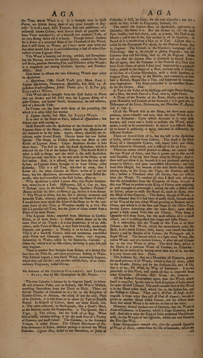 the Tree, whofe Wood it is. It is brought over in fmall Pieces, we feldorft feeing thofe of any great Length or Big- nefs : 'It is of a hard, folid Texture, firm and ponderous, of a yellowilh broWn Colour, with feveral black or purplifli refi- hous Veins interfpers’d ; of a bittcrifh hot aromatic Tafte, of no very ftrong Scent till it is burnt. Though feveral Authors fet it down as a principal Note of the Goodnefs of this Wood, that it will fwim in Water, yet I have never met with any but what would fink in it, notwithftanding it had all other Cha¬ racters of true Lignum Aloes. This Wood is heating and drying, cordial, and {Lengthen¬ ing the Nerves, revives the animal Spirits, comforts the Heart and Brain, prevents fwooningFits, and Diforders of the Womb ; it is frequently put among Cordials, Species, and Powders, Miller. Dale. Dale feenis to efteem the two following Woods near a-kin to Agallochum. 2. Afpalathum, Offic. Geoff. TraCt. 310. Mont. Exot. 7. Lignum Afpalathum, Pharmacop. Afpalathus, Ind. Med. 15. A- gallochum praflantijfmum, Johnf. Dendr. 460. C. B. Pin. 393. Calambac Wood. This Wood alfo is brought from the Eaft Indies in Pieces that are thicker and lefs folid than the Lignum Aloes, of a paler Colour, and fainter Smell, bituminous, fat and refinous, and of a bitterifh Tafte. Its Virtues are the fame with thofe of the preceding (for which it is often fold) but weaker. 3. Lignum Aquila, Ind. Med. 67. Eagle Wood. It is ufed in the Shops at Paris, inftead of Afpalathum ; but feldom met with among us. Moft Botanifts take the Agallochum of the Antients to be the Lignum Aloes of the Shops ; others fuppofe the Afpalathum of the Antients to be the fame. Again, others, efpecially the A- rabians, make feveral Kinds. Garcias knew but one Indian Species. The Shops, as Clufius obferves, can {hew us two Kinds of Lignum Aloes. Cafpar Bauhinus divides it into three Sorts. The firft he calls the fineft Agallochum, which is referved for the Ufe of the Indian Kings. The fecond Kind is what is fold in Shops, and the third is the wild Agallochum. There are only two Sorts to be met with in the Shops, as we faid before. And, it is affured, that we have the true Agal¬ lochum, or Lignum Aloes, brought to us from China, called Calambac. This is a tall Tree, defcribed by none, that I know of; for what Garcias ab Horto writes of is not the fame, but the Afpalathum, abovementioned, as fome fkilful Bo¬ tanifts, who have travelled in the Eaft Indies, affure us. Why Agallochum is called Lignum Aloes, fays Paulus Amman* nus, many are at a Lofs. Hojfmannus, Lib. 2. Cap. 25. fays, “ Perhaps ’AAou', in the Indian Tongue, fignifies a Perfume.'’' Bontius ad Cap. 16. Garc. ab Horto, p. 43. derives it from Savour. f( This Wood of Aloes, fays he, has a peculiar aromatic and bitterifh Tafte, whence, perhaps, it took the Name of Aloes.” I would have none think the Aloes of the Shops to be the con¬ crete Juice of this Tree, as Wormius makes it, p. 272. For this is a peculiar tall Tree, but the Juice of Aloes comes from a Plant of the fame Name. The Lignum Aloes, exported from Manilam in Cochin- China, is of three Sorts. 1. Sokhia., which feems to be the outer Part of the Trunk ; it is not ponderous, is of an Afh- colour, with Veins of Black, a very little bitterifh, moderately fragrant, not gummy. 2. Thimhio, is to be had at the Shops. This is of a blackifh Colour, folid and ponderous, interfered with Veins and Channels, gummy, bitter, very fragrant, fwimming in Water, called by the Spaniards, Calamba. 3. Gilam-hio, which is of an Afh-colour, inclining to pale, foft,and very fragrant. There is another Sort brought from Kalapa, of a darker Co¬ lour than the Thim-hio, and more ponderous, finking in Water. The Chinefe export a very black Wood, moderately fragrant, which they call Vai~hio ; and another reddifh Sort, of an extra¬ ordinary Fragrancy, called Chi-tua. An Account of the Lignum Calambac, and Lignum Aloes, fent by Mr. Cunningham to Mr. Pether. The true Calambac is known by its fragrant Smell, its bitter¬ ifh and aromatic Tafte, and its Softnefs, like Wax or Maftich, receiving Impreflions from the Teeth or Nails. There are feveral Degrees of Goodnefs in it ; for in the Kingdom of Cochin-China, or Annam, the chief, if not the only, Place of its Growth, it is fold from 10 to above 50 Tael an Englifh Pound. In Refpeft of Colour, there are three Kinds, viz. I. The mixt-coloured, or black-purple, like a Duck’s Head, as the Natives make the Comparifon. 2. The fpotted, like a Tiger. 3. The yellow, like the Yolk of an Egg. What falls of itfelf, without felling, is for the moft Part of a Variety of Colours, and moft valued. The Calambac, in the Annamic Tongue, is called Kenam. The Chinefe Merchants of Fo- kie^i pronounce it Kelatn, whence perhaps is derived the Word ’Calambac, Lignum Aloes, boiled in the Decodlion, or Juice of Calambac, is fold, by fome, for the true Calambac; but left 2 while to dry, it lofes its Fragrancy, Softnefs, fsV. The nearer the Lignum Aloes, or Agallochum, approaches to Calambac, the better it is. But the former is, for the moft Part, harder, and feels dryer, and, as it were, likeDuft in the Mouth ; artd is not fo fat, but weaker in all its Qualities. A Pound of it is worth from 5 Mas to 6 Tael. Lignum Aloes is called by the Portuguefe Pao Agula, by the Natives Keang, that is, fragrant. The Chinefe in the Mandarin Language call it Fchin-kiang, that is, the fearful or finking Fragrant; but the Calambac they call Suk-hiang, that is, the fat Fragrant. Some tell you that the Lignum Aloes is produced by feveral Trees: But all agrees that the Calambac is the Product of a Tree that bears Fruit (fome of which I fend you) fupported by a quinquefid Calyx, almoft in the Shape of a Pear, covered with a Down, of the Size of a Citrine Myrobalan, with a thick ligneous, or ’ fungous Coat, cleaving in the Middle, and containing on each Side a Kernel, {haped like a Top, and fupported by membra¬ nous Appendices. The Fruit pulverifed is an excellent Reme¬ dy for the Gripes. Dale. A Tael is the Value of fix Shillings and eight Pence Sterling, and a Mas, the tenth Part of a Tael, that is, eight Pence. A Dram of the Powder of the Root, drank, cures the too great Humidity and Laxnefs of the Stomach ; it is good alfo in Diftempers of the Liver, Dyfenteries, and Pleurifies. P. FEginet, Lib. 7. Cap. 3. Of all the Woods fold in the Shops, we have none more precious, more valuable and rare, than the true Wood of A- loes or Xyloaloes : Upon which Account it is very little known, and every one is liable to miftake the Wood, which makes it eafy to be counterfeited; fo that it is a difficult Mat¬ ter to know it pofitively, it being defcribed fo differently, by different Authors. There are feveral Sorts of it, but the beft is the Agallochum of India, which comes from Calecut. The fineft is the black Kind, of a changeable Colour, full, heavy folid, and thick, which cannot be whitened, and is difficult to fet on Fire. There are others which pretend to affirm, we cannot have the true Wood of Aloes, and that it grows not in this terref- trial Paradife, it having been fwept away by Deluge : And 0- thers will not allow it us, becaufe it is not produced among usj except in Deferts, and upon inacceffible Mountains ; not only from their Height, but becaufe of the wild Beafts that inhabit among them, as the Lion, the Tiger, the Panther,^ and the like j befides a Thoufand other idle Stories, that are told a- bout this Wood: To confute all this, I (hall only tell you^ that the Ambafladors from the Kingdom of Siam, brought of this true Wood to prefent to the King of France now reigning, as well wrought as unwrought; among the reft, a Bafon with its Salver, proper to wa{h the Hands in, made at Siam, after the Mode of that Country. This Bafon, though of Wood, is more efteemed than if it had been of maffy Gold, becaufe made of the Tree of the true Aloes Wood growing at Bantam and in China, and which is of the Size and Shape of the Olive-Tree, having Leaves fomething after the fame Sort; upon which grows a little round Fruit like our Cherry. They bring a Quantity of it from Surat, but the moft refinous of it is moft valued, and it is diftinguifhed into larger and leffer Pieces. It is obfervable, that the Trunk of this Tree is of three Colours ; the firft Wood, which lies immediately under the Bark, is of a black Colour, folid, heavy, and almoft like black Ebony ; and by Reafon of its Colour, the Portuguefe call it Eagle-Wood. The Second which is a light veiny Wood, like rotten Wood, and of a tanned Colour, is what we call Column bac or the true Wood of Aloes. The third Soft, which is the Heart, is a precious Wood of Tambac, or Calambac : I fhall fay no more of it, having never feen any of it, but that it is very fcarce and dear. Pomet. The Arabians fay, that on a Mountain of Comorin, grows the moft precious of all Woods, which is that of Aloes, called by the Greeks Xylaloe, and by the Arabians Ud, and Al Ud> that is to fay, The Wood, by Way of Eminence . It grows plentifully in that Place, and excels all that is imported from other Countries. Herbelot, Bill. Orient. Art. Cameron. All the Eaftern Geographers agree, that this Wood, whofe Smell is exquifite, f grows only in thofe Countries of India which lie under the firft Climate. The moft valuable Sort of this Wood is in the Ifland called Senf, which lies in the Indian Sea, and the Paffage to China. They call it Al O'ud Al Senf, to dif- tinguilh it from what they call Al O'ud Al Comari; becaufe it grows in another Ifland called Comar, not far diftant from Senf, but whofe Wood is far inferior to that of the other. However, feveral Authors are of Opinion, that the Wood of Aloes of Camnon, orComron, which is Cape Comorin, is the beft. And this is what the King of India prefented Noufchirvan with, to the Weight of ten Quintals, which ran and blazed in the Fire like Wax. Some Geographers remark alfo, that the greateft Quantity ofWood of Aloes, comes from the Ifle ofSemender, which we call