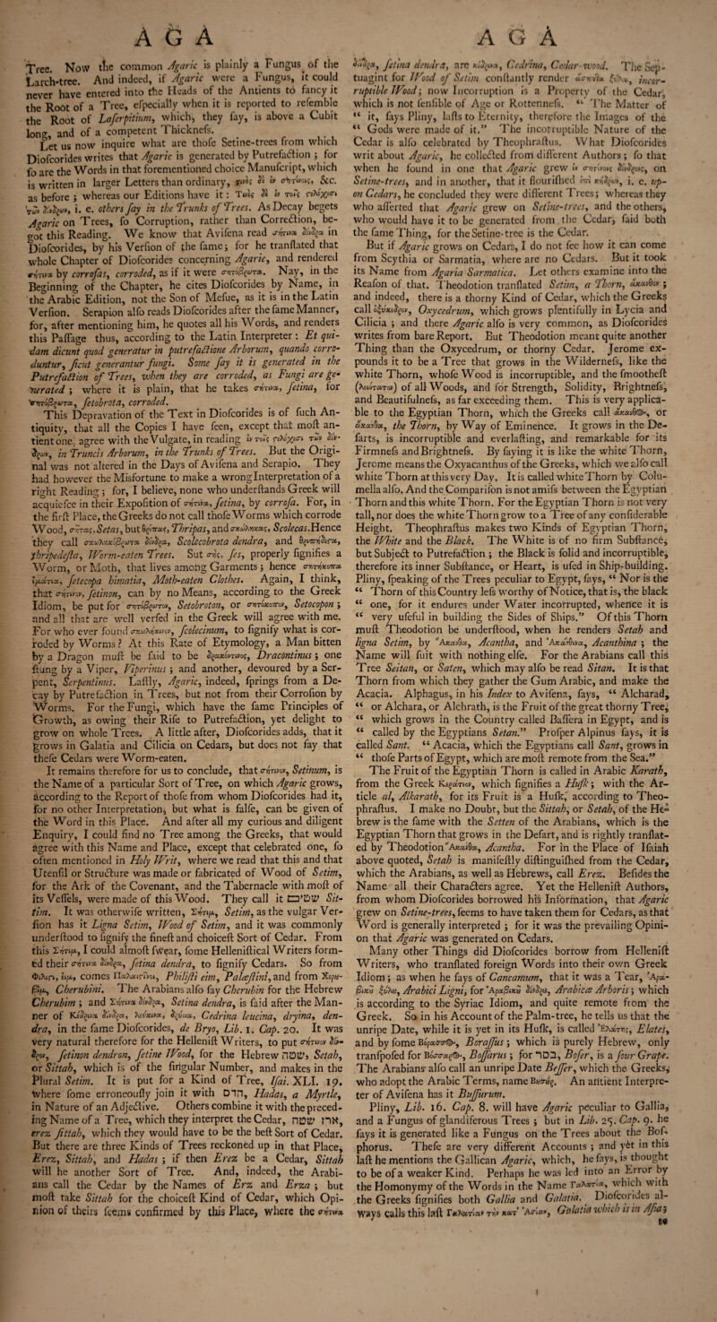 Tree. Now tfee common Agaric is plainly a Fungus, of the Larch-tree. And indeed, if Agaric were a Fungus, it could never have entered into the Heads of the Antients to fancy it the Root of a Tree, efpecially when it is reported to refemble the Root of Laferpitium, which, they fay, is above a Cubit long, and of a competent 1 hicknefs. Let us now inquire what are thofe Setine-trees from which Diofcorides writes that Agaric is generated by Putrefaction ; for fo are the Words in that forementioned choice Manufcript, which is written in larger Letters than ordinary, 3s » o-’mw;, See. as before ; whereas our Editions have it: Twl« $ l» rok r&&xi<ri 'run fofyai, i. e. others fay in the'trunks of Trees. As Decay begets Agaric on Trees, fo Corruption, rather than Correction, be¬ got this Reading. We know that Avifena read <rvro» in Diofcorides, by his Verfion of the fame; for he tranflated that whole Chapter of Diofcorides concerning Agaric, and rendered trr,W by corrofas, corroded, as if it were anrofyorct. Nay, in the Beginning of the Chapter, he cites Diofcorides by Name, in the Arabic Edition, not the Son of Mefue, as it is in the Latin Verfion. Serapion alfo reads Diofcorides after the fame Manner, for, after mentioning him, he quotes all his Words, and renders this Paffage thus, according to the Latin Interpreter: Et qui- dam dicunt quod generatur in putre fact tone Arborum, quando corro- duntur, ficut generantur fungi. Some fay it is generated, in the Putrefaction of Tr«j, ivhen they are corroded, as Fungi are ge¬ nerated ; where it is plain, that he takes vfov>*> fetina, for Vi7To|%wTa, fetobrota, corroded. This Depravation of the Text in Diofcorides is of fuch An¬ tiquity, that all the Copies I have feen, except that mold an- tientone., agree with the Vulgate, in reading r^xe<ri ruv 3in Truncis Arborum, in the Trunks of Trees. But the Origi¬ nal was not altered in the Days of Avifena and Serapio. They had however the Misfortune to make a wrong Interpretation of a right Reading ; for, I believe, none who underftands Greek will acquiefce in their Expofition of cryrwx, fetina, by corrofa. For, in the firft Place, the Greeks do not call thofe Worms which corrode Wood, crh<z;,Setas, but wa?, Thripas, and axtlfuoza.%, Scolecas.Hence they call c-fcutozafyarx Scolccobrota dendra, and fymtftru, fhripedefa, Worm-eaten Trees. Sut <njs, fes, properly fignifies a Worm, or Moth, that lives among Garments ; hence owiW* l^ccTix, fetecopa himatia, Moth-eaten Clothes. Again, I think, that crvjruw, fetinon, can by no Means, according to the Greek Idiom, be put for otjto/Sjwtov, Setobroton, or a-oaozoTrov, Setocopon ; and all that are well verfed in the Greek will agree with me. For who ever found o-zaT*jmvo, fcolecinum, to fignify what is cor¬ roded by Worms ? At this Rate of Etymology, a Man bitten fey a Dragon mu ft be faid to be 3§«*ovwo?, Dracontinus; one ftung by a Viper, Viperinus; and another, devoured by a Ser¬ pent, Serpentinus. Laftly, Agaric, indeed, fprings from a De¬ cay by Putrefadlion in Trees, but not from their Corrofion by Worms. For the Fungi, which have the fame Principles of Growth, as owing their Rife to Putrefa&ion, yet delight to grow on whole Trees. A little after, Diofcorides adds, that it grows in Galatia and Cilicia on Cedars, but does not fay that thefe Cedars were Worm-eaten. It remains therefore for us to conclude, that atom, Setinum, is the Name of a particular Sort of Tree, on which Agaric grows, according to the Report of thofe from whom Diofcorides had it, for no other Interpretation, but what is falfe, can be given of the Word in this Place. And after all my curious and diligent Enquiry, I could find no Tree among the Greeks, that would agree with this Name and Place, except that celebrated one, fo often mentioned in Holy Writ, where we read that this and that Utenfil or Structure was made or fabricated of Wood of Setim, for the Ark of the Covenant, and the Tabernacle with moft of its Veflels, were made of this Wood. They call it O'Dltf Sit- tun. It was otherwife written, Surtf*, Setim, as the vulgar Ver¬ fion has it Ligna Setim, Wood of Setim, and it was commonly underftood to fignify the fineftand cboiceft Sort of Cedar. From this Swjf*, I could almoft fWear, fome Helleniftical Writers form¬ ed their wiw* olvo^x, fetina dendra, to fignify Cedars. So from Qfrin, ei/x, comes IlaXairms, Philijli eim, Palcsfini, and from %>a- Cherubini. The Arabians alfo fay Cherubin for the Hebrew Cherubim ; and Zyrivx Ssvfyx, Sctina dendra, is faid after the Man¬ ner of XJfymcc (t.'vftz, tevxwa, tyux, Cedrina leucina, dryina, den¬ dra, in the fame Diofcorides, de Bryo, Lib. I. Cap. 20. It was very natural therefore for the Hellenift Writers, to put cnjrwo* 3»- fetinon dendron, fetine Wood, for the Hebrew illOtiS Setah, ox Sittah, which is of the firigular Number, and makes in the Plural Setim. It is put for a Kind of Tree, Ifai. XLI. 19. Where fome erroneoufly join it with Din, Hadas, a Myrtle, in Nature of an AdjeiPcive. Others combine it with the preced¬ ing Name of a Tree, which they interpret the Cedar, nDttf erez fittah, which they would have to be the beft Sort of Cedar. But there are three Kinds of Trees reckoned up in that Place, Erez, Sittah, and Eladas ; if then Erez be a Cedar, Sittah will he another Sort of Tree. And, indeed, the Arabi¬ ans call the Cedar by the Names of Erz and Erza ; but moft take Sittah for the choiceft Kind of Cedar, which Opi¬ nion of theirs feems confirmed by this Place, where the <rh»x &*%*> fetina dendra, are Cedrina, Cedar-wood. The Sep - tuagint for Wood of Setim conftantly render olavM incor¬ ruptible Wood; now Incorruption is a Property of the Cedar, which is not feniible of Age or Rottennefs. “ The Matter of “ it, fays Pliny, lafts to Eternity, therefore the Images of the “ Gods were made of it.” The incorruptible Nature of the Cedar is alfo celebrated by Theophraftus. What Diofcorides writ about Agaric, he collected from different Authors ; fo that when he found in one that Agaric grew « awvw? on Setine-trees, and in another, that it flouriflied «r» xvSl^ui, i. c. up¬ on Cedars, he concluded they were different Trees; whereas they who afl’erted that Agaric grew on Setine-trees, and the others, who would have it to be generated from the Cedar, faid both the fame Thing, for the Setine- tree is the Cedar. But if Agaric grows on Cedars, I do not fee how it can come from Scythia or Sarmatia, where are no Cedars. But it took its Name from Agaria Sarmalica. Let others examine into the Reafon of that. Theodotion tranflated Setim, a Thorn, oIxmQgv ; and indeed, there is a thorny Kind of Cedar, which the Greeks call Oxycedrum, which grows plentifully in Lycia and Cilicia ; and there Agaric alfo is very common, as Diofcorides writes from bare Report. But Theodotion meant quite another Thing than the Oxycedrum, or thorny Cedar. Jerome ex¬ pounds it to be a Tree that grows in the Wildernefs, like the white Thorn, whofe Wood is incorruptible, and the fmootheft (hidactaov ) of all Woods, and for Strength, Solidity, Brightnefs, and Beautifulnefs, as far exceeding them. This is very applica¬ ble to the Egyptian Thorn, which the Greeks call azovd®*, or aWvOa, the Thorn, by Way of Eminence. It grows in the De¬ farts, is incorruptible and everlafting, and remarkable for its Firmnefs and Brightnefs. By faying it is like the white Thorn, Jerome means the Oxyacanthus of the Greeks, which we alfo call white Thorn at this very Day. It is called white Thorn by Colu¬ mella alfo. And the Companion isnotamifs between the Egyptian Thorn and this white Thorn. For the Egyptian Thorn is not very tall, nor does the white Thorn grow to a Tree of any confiderable Height. Theophraftus makes two Kinds of Egyptian Thorn, the White and the Black. The White is of no firm Subftance; but Subject to Putrefaction ; the Black is folid and incorruptible, therefore its inner Subftance, or Heart, is ufed in Ship-building. Pliny, fpeaking of the Trees peculiar to Egypt, fays, “ Nor is the “ Thorn of this Country lefs worthy of Notice, that is, the black <c one, for it endures under Water iiicorrupted, whence it is “ very ufeful in building the Sides of Ships.” Of this Thorn muft Theodotion be underftood, when he renders Setah and ligna Setim, by ”Aza.M, Acantha, and Acanthina ; the Name will fuit with nothing elfe. For the Arabians call this Tree Seitan, or Saten, which may alfo be read Sit an. It is that Thorn from which they gather the Gum Arabic, and make the Acacia. Alphagus, in his Index to Avifena, fays, “ Alcharad, “ or Alcbara, or Alchrath, is the Fruit of the great thorny Tree^ <l which grows in the Country called Baflera in Egypt, and is “ called by the Egyptians Setan.” Profper Alpinus fays, it is called Sant. “ Acacia, which the Egyptians call Sant, grows in “ thofe Parts of Egypt, which are moft remote from the Sea.” The Fruit of the Egyptian Thorn is called in Arabic Karath, from the Greek KegaW, which fignifies a Hufk; with the Ar¬ ticle al, Alkarath, for its Fruit is a Hufk, according to Theo¬ phraftus. I make no Doubt, but the Sittah, or Setah, of the He° brew is the fame with the Setten of the Arabians, which is the Egyptian Thorn that grows in the Defart, and is rightly tranflat¬ ed by Theodotion’'Axa>>0a, Acantha. For in the Place of Ifaiah above quoted, Setah is manifeftly diftinguifhed from the Cedar, which the Arabians, as well as Hebrews, call Erez. Befidesthe Name all their Characters agree. Yet the Hellenift Authors, from whom Diofcorides borrowed his Information, that Agaric grew on Setine-trees, feems to have taken them for Cedars, as that Word is generally interpreted ; for it was the prevailing Opini¬ on that Agaric was generated on Cedars. Many other Things did Diofcorides borrow from Hellenift Writers, who tranflated foreign Words into their own Greek Idiom; as when he fays of Cancamurn, that it was a Tear, ’Ap- fiizS Arabici Ligni, for ’ApafrzS &Poga, Arabic<2 Arboris; which is according to the Syriac Idiom, and quite remote from the Greek. So in his Account of the Palm-tree, he tells us that the unripe Date, while it is yet in its Hufk, is called ’Ex*™;, Elates, and by fome Bopa-jr©-, Boraffus ; which is purely Hebrew, only tranfpofed for Bocau^, Boffarus; for “IDD, Bofer, is a four Grape. The Arabians* alfo call an unripe Date Bejfer, which the Greeks^ who adopt the Arabic Terms, name iWag. An alitient Interpre¬ ter of Avifena has it Bujfurum. Pliny, Lib. 16. Cap. 8. will have Agaric peculiar to Gallia, and a Fungus of glandiferous Trees ; but in Lib. 25. Cap. 9. he fays it is generated like a Fungus on the Trees about the Bof. phorus. Thefe are very different Accounts ; and yit in this laft he mentions the Gallican Agaric, which, he fays, is thought to be of a weaker Kind. Perhaps he was led into an Error by the Homonymy of the Words in the Name TahxrM, which with the Greeks fignifies both Gallia and Galatia. Diofcorides al- ways calls this laft r*xari«> ah **t’ ’Aida*, Glilatia widen is in Afiat