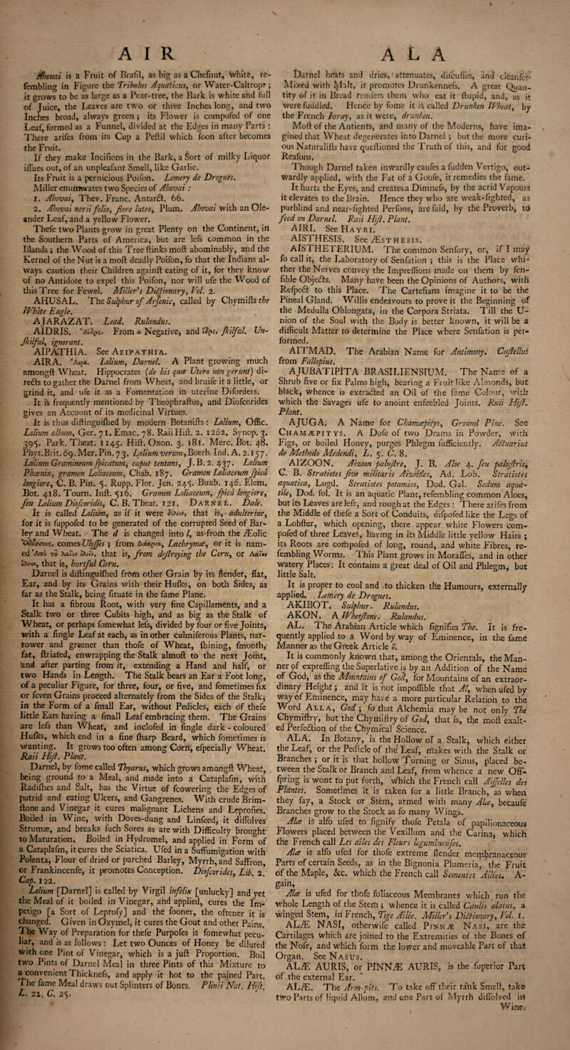 Ahouai is a Fruit of Brafil, as big as a Chefnut, white, re- fembling in Figure the Tribuhts Aquaticus, or Water-Caltrop*; it grows to be as large as a Pear-tree, the Bark is white and lull of Juice, the Leaves are two or three Inches long, and two Inches broad, always green ; its Flower is compofed of one Leaf, formed as a Funnel, divided at the Edges in many Parts : There arifes from its Cup a Peftil which loon after becomes the Fruit. If they make Incifions in the Bark, a Sort of milky Liquor iffues out, of an unpleafant Smell, like Garlic. Its Fruit is a pernicious Poifon. Lemery de Drogues. Miller enumerates two Species of Ahovai : 1. Ahovai, Thev. Franc. Antanft. 66. 2. Ahovai neriifolio, fore luteo, Plum. Ahovai with an Ole¬ ander Leaf, and a yellow Flower. Thefe two Plants grow in great Plenty on the Continent, in the Southern Parts of America, but are lefs common in the Blands ; the Wood of this Tree {links moft abominably, and the Kernel of the Nut is a moft deadly Poifon, fo that the Indians al¬ ways caution their Children againft eating of it, for they know of no Antidote to expel this Poifon, nor will ufe the Wood of this Tree for Fewel. Miller's Dictionary, Vol. 2. AHUSAL. The Sulphur of Arfenic, called by Chymifts the White Eagle. AJARAZAT. Lead. Rulandus. AIDRIS. a'^k. From a Negative, and Ups, fkilful. Un- fkilful, ignorant. AIPATHIA. See Aeipathi a. AIRA. Lolium, Darnel. A Plant growing much amongft Wheat. Hippocrates (de his qua Utero non gerunt) di- redls to gather the Darnel from Wheat, and bruife it a little, or grind it, and ufe it as a Fomentation in uterine Diforders. It is frequently mentioned by Theophraftus, and Diofcorides gives an Account of its medicinal Virtues. It is thus diftinguifhed by modern Botanifts: Lolium, Offic. Lolium album, Ger. 71. Emac. 78. RaiiHift. 2. 1262. Syncp. 3. 395. Park. Theat. 1145. Hift. Oxon. 3. 181. Merc. Bot. 48. Phyt.Brit. 69. Mer. Pin. 73. Lolium verum,Boerh. Ind. A. 2.157. Lolium Gramineum [picatum, caput tentans, J. B.2. 437. Lolium Phoenix, gramen Loliaceurn, Chab. 187. Gramen Loliaceum fpicd longiore, C. B. Pin. 5. Rupp. Flor. Jen. 245. Buxb. 146. Elem, Bot. 418. Tourn. Inft. 516. Gramen Loliaceum, fpicd longiore, feu Lolium Diofcoridis, C. B. Theat. 121. Darnel. Dale. It is called Lolium, as if it were that is, adulterine, for it is fuppofed to be generated of the corrupted Seed of Bar¬ ley and Wheat. The d is changed into /, as-from the iEolic ’Qovz-j-tvt;, comes XJlyJfes ; from Aebigux, Lachryma, or it is nam¬ ed ’Atto rS Aafoi/ oA;4, that is, from defraying the Corn, or Aai*v cAoev, that is, hurtful Corn. Darnel is diftinguilhed from other Grain by its {lender, flat. Ear, and by its Grains with their Hulks, on both Sides, as far as the Stalk, being fituate in the fame Plane. It has a fibrous Root, with very fine Capillaments, and a Stalk two or three Cubits high, and as big as the Stalk of Wheat, or perhaps fomewhat lefs, divided by four or five Joints, with a Angle Leaf at each, as in other culmiferous Plants, nar¬ rower and greener than thofe of Wheat, (Lining, fmooth, fat, ftriafed, enwrapping the Stalk almoft to the next Joint, and after parting from it, extending a Hand and half, or two Hands in Length. The Stalk bears an Ear a Foot long, of a peculiar Figure, for three, four, or five, and fometimes fix or feven Grains proceed alternately from the Sides of the Stalky in the Form of a fmall Ear, without Pedicles, each of thefe little Ears having a fmall Leaf embracing them. The Grains are lefs than Wheat, and inclofed in Angle dark - coloured Hulks, which end in a fine {harp Beard, which fometimes is wanting. It grows too often among Corn, efpecially Wheat. Rail Hf. Plant. Darnel, by fome called Lhyarus, which grows amongft Wheat, being ground to a Meal, and made into a Cataplafm, with Radifhes and Salt, has the Virtue of fcowering the Edges of putrid and eating Ulcers, and Gangrenes. With crude Brim- ftone and Vinegar it cures malignant Lichens and Leprofies. Boiled in Wine, with Doves-dung and Linfeed, it diflolves Strumas, and breaks fuch Sores as are with Difficulty brought to Maturation. Boiled in Hydromel, and applied in Form°of a Cataplafm, it cures the Sciatica. Ufcd in a Suffumigation with Polenta, Flour of dried or parched Barley, Myrrh, and Saffron or Frankincenfe, it promotes Conception. Diofcorides, Lib. 2. Cap. 122. Lolium [Darnel] is called by Virgil infelix [unlucky] and yet the Meal of it boiled in Vinegar, and applied, cures the Im¬ petigo [a Sort of Leprofy] and the fooner, the oftener it is changed. Given in Oxymel, it cures the Gout and other Pains. 1 he Way of Preparation for thefe Purpofes is fomewhat pecu¬ liar, and is as follows: Let two Ounces of Honey be diluted with one Pint of Vinegar, which is a juft Proportion. Boil two Pints of Darnel Meal in three Pints of this Mixture to a convenient Thicknefs, and apply it hot to the pained Part. The fame Meal draws out Splinters of Bones. Plinii Nat. Hift. Li 22. C. 25* Darnel heats and dries,'attenuates, difcufles, and cleanfcs* Mixed with fylalt, it promotes Drunkennefs. A great Quan¬ tity of it in Bread renders them who eat it ftupid, and, as it were fuddled. Hence by fome it ft called Drunken Wheat, by the French Ivray, as it were, drunken. Moft of the Anticnts, and many of the Moderns, have ima¬ gined that Wheat degenerates into Darnel ; but the more curi¬ ous Naturalifts have queftioned the Truth of this, and for good Reafons. 1 'hough Darnel taken inwardly caufes a fudden Vertigo, out¬ wardly applied, with the Fat of a Goofe, it remedies the fame. It hurts the Eyes, and creates a Dimnefs, by the acrid Vapours it elevates to the Brain. Hence they who are weak-fighted, as purblind and near-fighted Perfons, are faid, by the Proverb, td feed on Darnel. Raii Hf. Plant. AIRI. SeeHAYRi. AISTHESIS. See iEsTHESis. AIS THETERIUM. The common Senfory, or, if I may fo call it, the Laboratory of Senfation ; this is the Place whi¬ ther the Nerves convey the Impreffions made on them by fen- fible Objects. Many have been the Opinions of Authors, with RefpecI to this Place. The Cartefians imagine it to be the Pineal Gland. Willis endeavours to prove it the Beginning of the Medulla Oblongata, in the Corpora Striata. Till the U- nion of the Soul with the Body is better known, it will be a difficult Matter to determine the Place where Senfation is per¬ formed. AITMAD. The Arabian Name for Antimony. CafdluS from Fallopius. AJUBATIPITA BRASILIENSIUM. The Name of a Shrub five or fix Palms high, bearing a Fruit like Almonds, but black, whence is extra&ed an Oil of the fame Colour, with which the Savages ufe to anoint enfeebled Joints. Raii Hf. Plant. AJUGA. A Name for Chamapitys, Ground Pine. See Ch AM2EPIT ys. A Dofe of two Drams in Powder, with Figs, or boiled Honey, purges Phlegm fufficiently. ACiuarius de Methodo Medendi, L. 5. C. 8. AIZOON. Aizoon palufre, J. B. Aloe 4. feu pahfrls, C. B. Stratiotes five militaris Aizotdes, Ad. Lob. Stratiotes aquatica, Lugd. Stratiotes potamios, Dod. Gal. Sedum aqua- tile, Dod. fol. It is an aquatic Plant, refembling common Aloes, but its Leaves are lefs, and rough at the Edges : There arifes from the Middle of thefe a Sort of Conduits, difpofed like the Legs of a Lobfter, which opening, there appear white Flowers com¬ pofed of three Leaves, having in its Middle little yellow Hairs ; its Roots are compofed of long, round, and white Fibres, re¬ fembling Worms. This Plant grows in Moraffes, and in other watery Places: It contains a great deal of Oil and Phlegm, but little Salt. It is proper to cool and to thicken the Humours, externally applied. Lemery de Drogues. A KIB O T. S ulphur. R ulandus. AKON. A Whetfone. Rulandus. AL. T he Arabian Article which fignifies The. It is fre¬ quently applied to a Word by way of Eminence, in the fame Manner as the Greek Article i. It is commonly known that, among the Orientals, the Man¬ ner of exprefling the Superlative is by an Addition of the Name of God, as the Mountains of God, for Mountains of an extraor¬ dinary Height; and it is not impofiible that Al, when ufed by way Of Eminence, may have a more particular Relation to the Word Alla, God ; fo that Alchemia may be not only The Chymiftry, but the Chymiftry of God, that is, the moft exalt¬ ed Perfe&ion of the Chymical Science. ALA. In Botany, is the Hollow of a Stalk, which either the Leaf, or the Pedicle of the Leaf, rhakes with the Stalk or Branches; or it is that hollow Turning or Sinus, placed be¬ tween the Stalk or Branch and Leaf, frdm whence a new Off- fpring is wont to put forth, which the French call Aif'elles des Plantes. Sometimes it is taken for a little Branch, as when they fay, a Stock or Stem, armed with many Ala, becaufe Branches grow to the Stock as fo many Wings. ^ Ala is alfo ufed to fignify thofe Petala of papilionaceous Flowers placed between the Vexillum and the Carina, which the French call Les ailes des Fleurs legumineiifes. Ala is alfo ufed for thofe extreme {lender merpbranaceous Parts of certain Seeds, as in the Bignonia Plumeria, the Fruit of the Maple, &c. which the French call Sememes Alices. A- gain, Ala is ufed for thofe foliaceous Membranes which run the whole Length of the Stem ; whence it is called Gaults alaius, a winged Stem, in French, Tige Alice. Miller's Dictionary, Pol. I. ALzE NASI, otherwife called Pjnn^ Nasi, are the Cartilages which are joined to the Extremities of the Bones of the Nofe, and which form the lower and moveable Part of that: Organ. SeeNAsus. ALiE AURIS, or PINN.E AURIS, is the fup'ertor Part of the external Ear. AL/E. The Arm-pits. To take off their rank Smell, tako two Parts of liquid Allum, and one Part of Myrrh difl'olved irt W inev