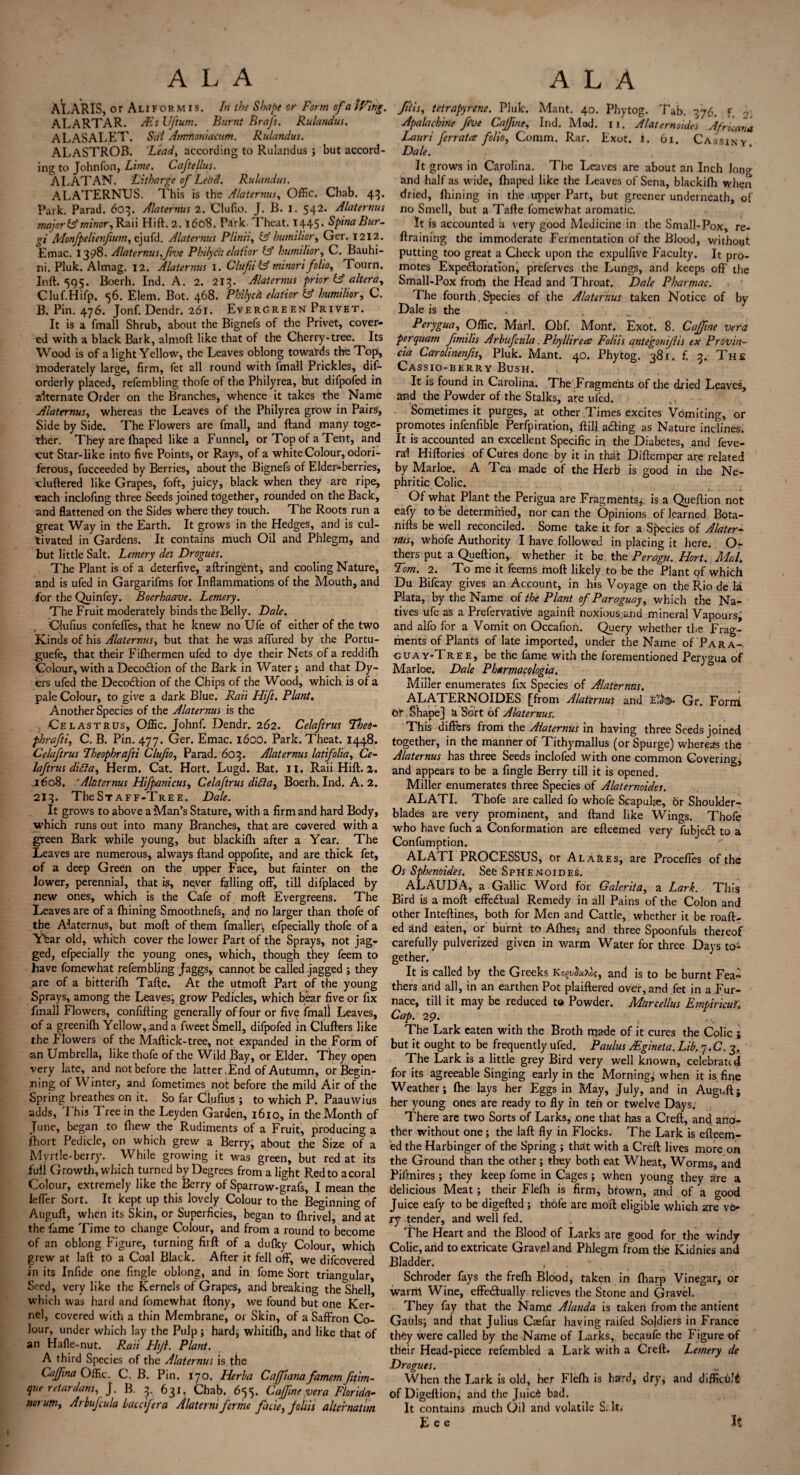 AI.ARIS, or A LIF o R m I s. In the Shape or Form of a tVitig. ALARTAR. AEs TJftum. Burnt Brafs. Rulandus. ALASALET. Sai Airrrtioniacum. Rulandus. ALASTROB. Lead, according to Rulandus ; but accord¬ ing to Johnfon, Lime. Caftellus. ALATAN. Litharge of Lead. Rulandus. ALATERNUS. T.'his is the Alaternus, Offic. Chab. 43. Park. Parad. 603. Alaternus 2. Clufio. J. B. I. 542. Alaternus major & minor,Ran Hift. 2. 16 08. Park. Theat. 1445. Spina Bur. gi Monfpelienfium, ejufd. Alaternus Plinii, & humilior, Ger. 1212. Emac. 1398. Alaternus,five Philyc'a elafior & humilior, C. Bauhi- ni. Pluk. Almag. 12. Alaternus 1. ClufiLf tninori folio, Tourn. Inft. 595. Boerh. Ind. A. 2. 213. Alaternus prior & altera, Cluf.Hifp. 56. Elem. Bot. 468. Philycii elaiior & humilior, C. B. Pin. 476. Jonf. Dendr. 261. Evergreen Privet. It is a fmall Shrub, about the Bignefs of the Privet, cover¬ ed with a black Bark, almoft like that of the Cherry-tree. Its Wood is of a light Yellow, the Leaves oblong towards the Top, moderately large, firm, fet all round with fmall Prickles, dis¬ orderly placed, refembling thofe of the Philyrea, but difpofed in alternate Order on the Branches, whence it takes the Name Alaternus, whereas the Leaves of the Philyrea grow in Pairs, Side by Side. The Flowers are fmall, and ftand many toge¬ ther. They are fhaped like a Funnel, or Top of a Tent, and >cut Star-like into five Points, or Rays, of a white Colour, odori¬ ferous, fucceeded by Berries, about the Bignefs of Elder-berries, cluftered like Grapes, foft, juicy, black when they are ripe, «ach inclofing three Seeds joined together, rounded on the Back, and flattened on the Sides where they touch. The Roots run a great Way in the Earth. It grows in the Hedges, and is cul¬ tivated in Gardens. It contains much Oil and Phlegm, and but little Salt. Lemery des Drogues. The Plant is of a deterfive, aftringent, and cooling Nature, and is ufed in Gargarifms for Inflammations of the Mouth, and for the Quinfey. Boerhaave. Lemery. The Fruit moderately binds the Belly. Dale. Olufius confeffes, that he knew no Ufe of either of the two Kinds of his Alaternus, but that he was aftured by the Portu- guefe, that their Fifhermen ufed to dye their Nets of a reddifh Colour, with a DecoCtion of the Bark in Water ; and that Dy¬ ers ufed the DecoCtion of the Chips of the Wood, which is of a pale Colour, to give a dark Blue. Raii Hift. Plant. Another Species of the Alaternus is the . Celastrus, Offic. Johnf. Dendr. 262. Celaftrus Tbeo- phrafti, C. B. Pin. 477. Ger. Emac. 1600. Park. Theat. 1448. Celaftrus Lheophrafti Clufio, Parad. 603. Alaternus latifolia, Ce¬ laftrus ditta, Herm. Cat. Hort. Lugd. Bat. II. Raii Hift. 2. j6oS. 'Alaternus Hifpanicus, Celaftrus diFta, Boerh. Ind. A. 2. 213. The St aff-Tre e. Dale. It grows to above a Man’s Stature, with a firm and hard Body, which runs out into many Branches, that are covered with a green Bark while young, but blackifh after a Year. The Leaves are numerous, always ftand oppofite, and are thick fet, of a deep Green on the upper Face, but fainter on the lower, perennial, that is, never falling off, till difplaced by new ones, which is the Cafe of moft Evergreens. The Leaves are of a fhining Smoothnefs, and no larger than thofe of the Alaternus, but moft of them fmaller', efpecially thofe of a Yfear old, which cover the lower Part of the Sprays, not jag¬ ged, efpecially the young ones, which, though they feem to have fomewhat refembling Jaggs, cannot be called jagged ; they are of a bitterifh Tafte. At the utmoft Part of the young Sprays, among the Leaves, grow Pedicles, which bear five or fix fmall Flowers, confifting generally of four or five ifmali Leaves, of a greenifti Yellow,.and a fweet Smell, difpofed in Clufters like the Flowers of the Maftick-tree, not expanded in the Form of -an Umbrella, like thofe of the Wild Bay, or Elder. They open very late, and not before the latter, End of Autumn, or Begin¬ ning of Winter, and fometimes not before the mild Air of the Spring breathes on it. So far Clufius ; to which P. Paauwius adds, I his 1 ree in the Leyden Garden, 1610, in the Month of June, began to fhew the Rudiments of a Fruit, producing a ftiort Pedicle, on which grew a Berry, about the Size of a Myrtle-berry. While growing it was green, but red at its fuli Growth, which turned by Degrees from a light Red to acoral Colour, extremely like the Berry of Sparrow-grafs, I mean the lefler Sort. It kept up this lovely Colour to the Beginning of Auguft, when its Skin, or Superficies, began to fhrivel, and at the fame Time to change Colour, and from a round to become of an oblong Figure, turning firft of a dufky Colour, which grew at laft to a Coal Black. After it fell off, we difeovered in its Infide one Angle oblong, and in fome Sort triangular, Seed, very like the Kernels of Grapes, and breaking the Shell which was hard and fomewhat ftony, we found but one Ker¬ nel, covered with a thin Membrane, or Skin, of a Saffron Co¬ lour, under which lay the Pulp; hard; whitifh, and like that of an Hafle-nut. Raii Htjl. Plant. A third Species of the Alaternus is tfie Caffina Offic. C. B. Pin. 170. Herha Caffianafamem fithn- que retar dans, J. B. 3. 631. Chab. 655. C affine vera Florida- norum, Arbufcula baccjera Alaternifame fade, folds altcrnatim fids, tetrapyrene. Pluk. Mant. 40. Phytog. Tab. 376. f. 2\ Apalachine Ji*ue Caffine, Ind. Mud. 11. Alaternoides Africana Lauri ferrata folio. Comm. Rar. Exot. 1. 61. Cassiny. Dale. It grows in Carolina. The Leaves are about an Inch loner and half as wide, fhaped like the Leaves of Sena, blackifh when dried, fhining in the upper Part, but greener underneath, of no Smell, but a Tafte fomewhat aromatic. It is accounted a very good Medicine in the Small-Pox, re- ftraining the immoderate Fermentation of the Blood, without putting too great a Check upon the expulfive Faculty. It pro¬ motes Expectoration, preferves the Lungs, and keeps off the Small-Pox front the Head and Throat. Dale Pharmac. The fourth . Species of the Alaternus taken Notice of by Dale is the Perygua, Offic. Marl. Obf. Mont. Exot. 8. Caffine vera perquam fimilis Arbufcula _ P by Hire a: Folds antegoniflis ex Provin- cia Carolinenfis, Pluk. Mant. 40. Phytog. 381. f. 3. The Cassio-berry Bush. It is found in Carolina. The Fragments of the dried Leaves, and the Powder of the Stalks, are ufed. ,, Sometimes it purges, at other Times excites Vomiting, or promotes infenfible Perfpiration, ftill aCting as Nature inclines. It is accounted an excellent Specific in the Diabetes, and feve- ral Hiffories of Cures done by it in that Diftemper are related by Marloe. A Tea made of the Herb is good in the Ne¬ phritic Colic. Of what Plant the Perigua are Fragments; is a Queftion not eafy to be determined, nor can the Opinions of learned Bota- nifts be well reconciled. Some take it for a Species of Alater¬ nus, whofe Authority I have followed in placing it here. O- thers put a Queftion,. whether it be the Peragu. Hort. Mai. Tom. 2. To me it feems moft likely to be the Plant of which Du Bifcay gives an Account, in his Voyage on the Rio de la Plata, by the Name of the Plant of Paraguay, which the Na¬ tives ufe as a Prefervative againft noxious and mineral Vapours, and alfo for a Vomit on Occafion. Query whether the Frag¬ ments of Plants of late imported, under the Name of Para-. cuay-Tree, be the fame with the forementioned Perygua of Marloe. Dale Pharmacologia. Miller enumerates fix Species of Alaternus. ALATERNOIDES [from Alaternus and E?<^ Gr. Form or, Shape] a Sort of Alaternus'. This differs from the Alaternus in having three Seeds joined together, in the manner of Tithymallus (or Spurge) whereas the Alaternus has three Seeds inclofed with one common Covering, and appears to be a Angle Berry till it is opened. Miller enumerates three Species of Alaternoides. ALATI. Thofe are called fo whofe Scapula;, or Shoulder- blades are very prominent, and ftand like Wings. Thofe who have fuch a Conformation are efteemed very fubjeCt to a Confumption. ALATI PROCESSUS, or Al ares, are Procefies of the Os Sphenoides. See Sphenoides. ALAUDA, a Gallic Word for Galerita, a Lark. This Bird is a moft effectual Remedy in all Pains of the Colon and other Inteftines, both for Men and Cattle, whether it be roaft- ed and eaten, or burnt to Allies; and three Spoonfuls thereof carefully pulverized given in warm Water for three Days to¬ gether. It is called by the Greeks Kc^aXo?, and is to be burnt Fea¬ thers and all, in an earthen Pot plaiftered over, and fet in a Fur¬ nace, till it may be reduced to Powder. Murcellus Empiricus'. Cap. 29. The Lark eaten with the Broth made of it cures the Colic 5 but it ought to be frequently ufed. Paulus Mgineta. Lib. 7.C. 3. The Lark is a little grey Bird very well known, celebrated for its agreeable Singing early in the Morning; when it is fine Weather; (he lays her Eggs in May, July, and in Auguft; her young ones are ready to fly in ten or twelve Days. There are two Sorts of Larks, .one that has a Creft, and ano¬ ther without one; the laft fly in Flocks. The Lark is efteem¬ ed the Harbinger of the Spring ; that with a Creft lives more on the Ground than the other; they both eat Wheat, Worms, and Piftnires ; they keep fome in Cages ; when young they are a delicious Meat; their Flefh is firm, brown, and of a o-ood Juice eafy to be digefted ; thofe are moft eligible which are ve¬ ry tender, and well fed. The Heart and the Blood of Larks are good for the windy Colic, arid to extricate Gravel and Phlegm from the Kidnies and Bladder. , Schroder fays the frefh Blood, taken in (harp Vinegar, or warm Wine, effectually relieves the Stone and Gravel. They fay that the Name Alauda is taken from the antient Gauls; and that Julius Caefar having raifed Soldiers in France they were called by the Name of Larks, becaufe the Figure of their Head-piece refembled a Lark with a Creft. Lemery de Drogues. When the Lark is old, her Flefh is hard, dry, and difficult of Digeftion; arid the JuicC bad. It contains much Oil and volatile S. It, Lee It