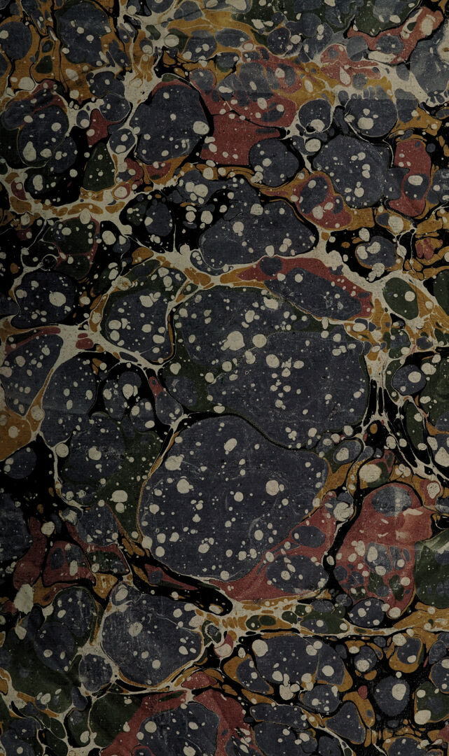 digitised image 3