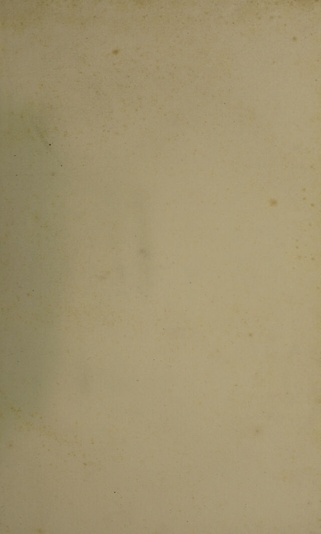 digitised image 3