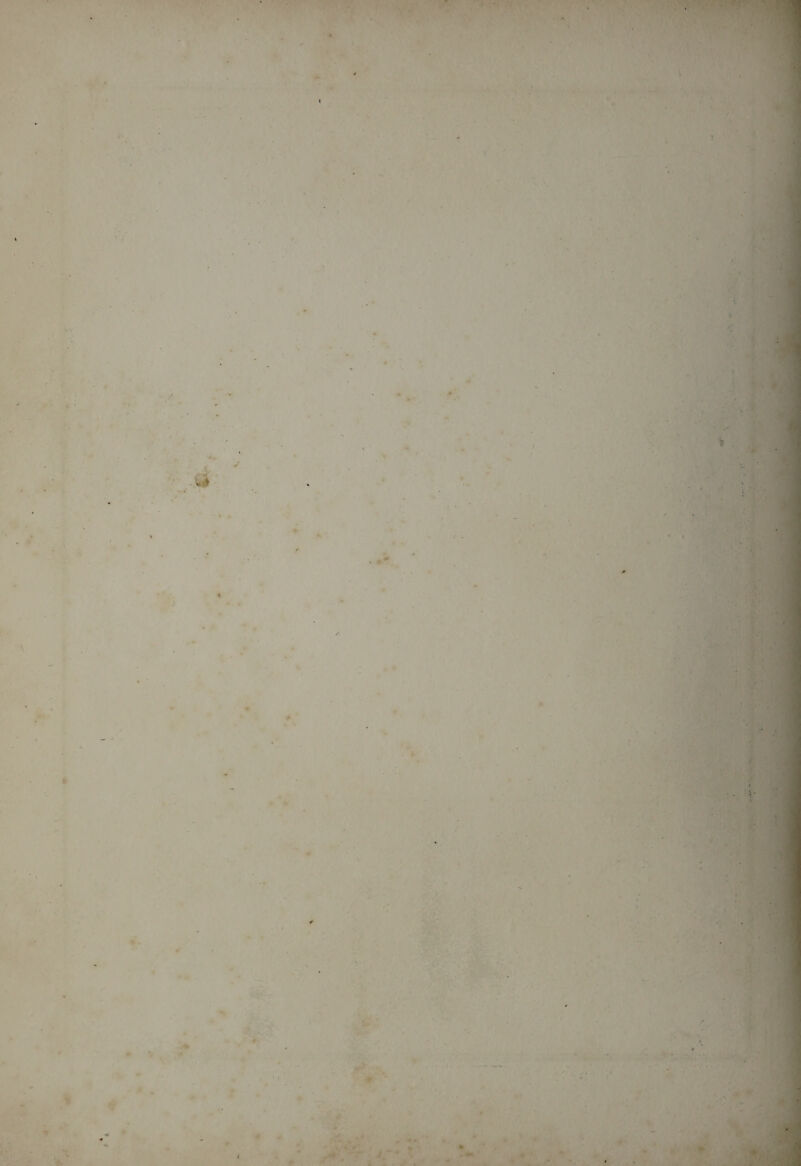 - ) \ V> ■ ,, . * V . V . ' /• m . , ‘ • . V ■r * ' t -