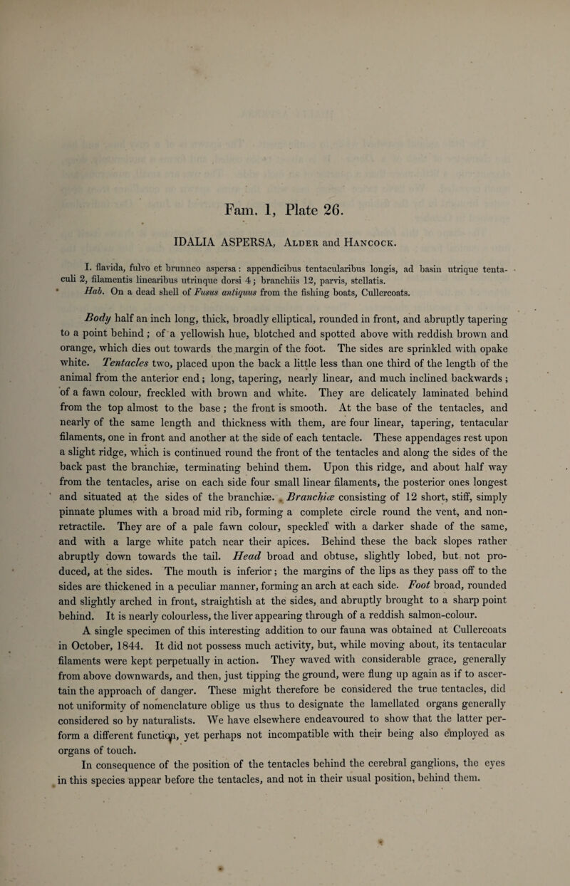 IDALIA ASPERSA, Alder and Hancock. I. flavida, fulvo et brunneo aspersa: appendicibus tentacularibus longis, ad basin utrique tenta- • cub 2, filamentis linearibus utrinque dorsi 4; brancliiis 12, parvis, stellatis. Hah. On a dead shell of Fusus antiquus from tbe fisliing boats, Cullercoats. Body half an inch long, thick, broadly elliptical, rounded in front, and abruptly tapering to a point behind; of a yellowish hue, blotched and spotted above with reddish brown and orange, which dies out towards the margin of the foot. The sides are sprinkled with opake white. Tentacles two, placed upon the back a little less than one third of the length of the animal from the anterior end; long, tapering, nearly linear, and much inclined backwards ; of a fawn colour, freckled with brown and white. They are delicately laminated behind from the top almost to the base; the front is smooth. At the base of the tentacles, and nearly of the same length and thickness with them, are four linear, tapering, tentacular filaments, one in front and another at the side of each tentacle. These appendages rest upon a slight ridge, which is continued round the front of the tentacles and along the sides of the back past the branchiae, terminating behind them. Upon this ridge, and about half way from the tentacles, arise on each side four small linear filaments, the posterior ones longest and situated at the sides of the branchiae. . Brancliice consisting of 12 short, stiff, simply pinnate plumes with a broad mid rib, forming a complete circle round the vent, and non- retractile. They are of a pale fawn colour, speckled' with a darker shade of the same, and with a large white patch near their apices. Behind these the back slopes rather abruptly down towards the tail. Head broad and obtuse, slightly lobed, but not pro¬ duced, at the sides. The mouth is inferior; the margins of the lips as they pass off to the sides are thickened in a peculiar manner, forming an arch at each side. Foot broad, rounded and slightly arched in front, straightish at the sides, and abruptly brought to a sharp point behind. It is nearly colourless, the liver appearing through of a reddish salmon-colour. A single specimen of this interesting addition to our fauna was obtained at Cullercoats in October, 1844. It did not possess much activity, but, while moving about, its tentacular filaments were kept perpetually in action. They waved with considerable grace, generally from above downwards, and then, just tipping the ground, were flung up again as if to ascer¬ tain the approach of danger. These might therefore be considered the true tentacles, did not uniformity of nomenclature oblige us thus to designate the lamellated organs generally considered so by naturalists. We have elsewhere endeavoured to show that the latter per¬ form a different functiqp, yet perhaps not incompatible with their being also employed as organs of touch. In consequence of the position of the tentacles behind the cerebral ganglions, the eyes in this species appear before the tentacles, and not in their usual position, behind them.