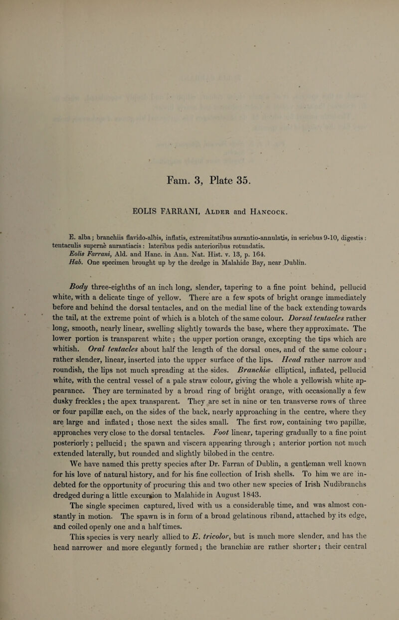 EOLIS FARRANI, Alder and Hancock. E. alba; branchiis flavido-albis, inflatis, extremitatibus aurantio-annulatis, in seriebus 9-10, digestis : tentaculis superne aurantiacis: lateribus pedis anterioribus rotundatis. Eolis Farrani, Aid. and Hanc. in Ann. Nat. Hist. v. 13, p. 164. Hab. One specimen brought up by the dredge in Malahide Bay, near Dublin. Body three-eighths of an inch long, slender, tapering to a fine point behind, pellucid white, with a delicate tinge of yellow. There are a few spots of bright orange immediately before and behind the dorsal tentacles, and on the medial line of the back extending towards the tail, at the extreme point of which is a blotch of the same colour. Dorsal tentacles rather long, smooth, nearly linear, swelling slightly towards the base, where they approximate. The lower portion is transparent white; the upper portion orange, excepting the tips which are whitish. Oral tentacles about half the length of the dorsal ones, and of the same colour ; rather slender, linear, inserted into the upper surface of the lips. Head rather narrow and roundish, the lips not much spreading at the sides. Branchiae elliptical, inflated, pellucid white, with the central vessel of a pale straw colour, giving the whole a yellowish white ap¬ pearance. They are terminated by a broad ring of bright orange, with occasionally a few dusky freckles; the apex transparent. They are set in nine or ten transverse rows of three or four papillae each, on the sides of the back, nearly approaching in the centre, where they are large and inflated; those next the sides small. The first row, containing two papillae, approaches very close to the dorsal tentacles. Foot linear, tapering gradually to a fine point posteriorly ; pellucid; the spawn and viscera appearing through ; anterior portion not much extended laterally, but rounded and slightly bilobed in the centre. We have named this pretty species after Dr. Farran of Dublin, a gentleman well known for his love of natural history, and for his fine collection of Irish shells. To him we are in¬ debted for the opportunity of procuring this and two other new species of Irish Nudibranchs dredged during a little excursion to Malahide in August 1843. The single specimen captured, lived with us a considerable time, and was almost con¬ stantly in motion. The spawn is in form of a broad gelatinous riband, attached by its edge, and coiled openly one and a half times. This species is very nearly allied to E. tricolor, but is much more slender, and has the head narrower and more elegantly formed; the branchiae are rather shorter; their central