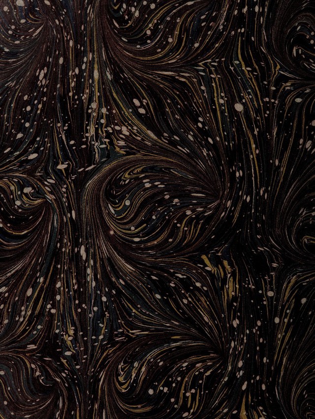 digitised image 2