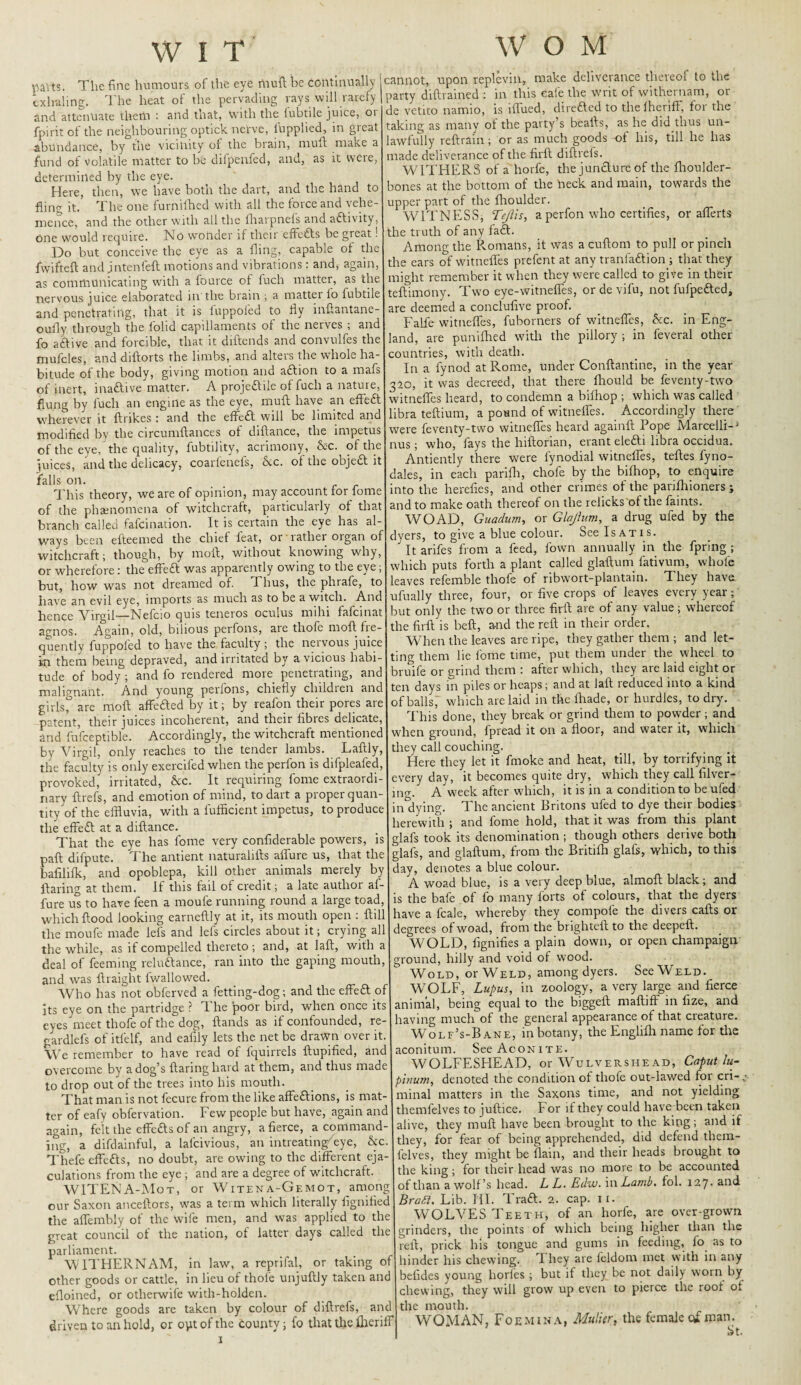 V'avts. The fine humours of the eye mull be continually exhaling. The heat of the pervading rays will rarefy And attenuate them : and that, with the iubtile juice, 01 fpirit of the neighbouring optick nerve, lupplied, in great abundance, by the vicinity of the brain, mull make a fund of volatile matter to be difpenfed, and, as it were, determined by the eye. Here, then, we have both the dart, and the hand to fling it. The one furnifhed with all the force and vehe¬ mence, and the other with all the fhaipnels and aflivity, one would require. No wonder if their effefts be great! Do but conceive the eye as a fling, capable of the fwifteft and jntenteft motions and vibrations: and, again, as communicating with a fource of fuch matter, as the nervous juice elaborated in'the brain ; a matter lo fubtile and penetrating, that it is fuppofed to fly inftantane- oufly through the lohd capillaments of the nerves ; and fo aftive and forcible, that it diftends and convulfes the mufcles, and diftorts the limbs, and alters the whole ha¬ bitude of the body, giving motion and a£tion to a mafs of inert, inaftive matter. A proje&ile of fuch a nature, flung by fuch an engine as the eye, mull have an effedl wherever it ftnkes : and the effeft will be limited and modified by the circumflances of diftance, the impetus of the eye, the quality, fubtility, acrimony, &c. of the juices, and the delicacy, coarfenels, See. of the objedl it falls on. This theory, we are of opinion, may account for fome of the phenomena of witchcraft, particularly of that branch called fafeination. It is certain the eye has al¬ ways been efteemed the chief feat, or rather organ of witchcraft; though, by mod, without knowing why, or wherefore: the effeft was apparently owing to the eye; but, how was not dreamed of. I hus, the phrafe, to have an evil eye, imports as much as to be a witch. And hence Virgil—Nelcio quis teneros oculus nnhi fafcinat agnos. Again, old, bilious perfons, are thole moll lie- quently fuppoied to have the faculty ; the neivous juice in them being depraved, and irritated by a vicious habi¬ tude of body ; and fo rendered more penetrating, and malignant. And young perfons, chiefly children and girls^ are nloft affedted by it; by reafon their pores are patent, their juices incoherent, and their fibres delicate, and fufceptible. Accordingly, the witchcraft mentioned by Virgil, only reaches to the tender lambs. Laftly, the faculty is only exercifed when the perfon is difpleafed, provoked, irritated, &c. It requiring fome extraordi¬ nary ftrefs, and emotion of mind, to dart a proper quan¬ tity of the effluvia, with a fufficient impetus, to produce the effeft at a diftance. That the eye has fome very confiderable powers, is paft difpute. The antient naturalifts affure us, that the bafililk, and opoblepa, kill other animals merely by Haring at them. If this fail of credit; a late author af¬ fure us to have feen a moule running round a large toad, which flood looking earneftly at it, its mouth open ; ftil the moufe made lefs and lefs circles about it; crying al the while, as if compelled thereto; and, at laft, with a deal of feeming reluftance, ran into the gaping mouth, and was ftraight lwallowed. Who has not obferved a fetting-dog; and the effedt of its eye on the partridge ? ft he poor bird, when once its eyes meet thofe of the dog, ftands as if confounded, re- gardlefs of itfelf, and eafily lets the net be drawn over it. We remember to have read of fquirrels ftupified, and overcome by a dog’s flaring hard at them, and thus made to drop out of the trees into his mouth. That man is not fecure from the like affedlions, is mat¬ ter of eafy obfervation. Few people but have, again and again, felt the effetts of an angry, a fierce, a command¬ ing, a difdainful, a lafeivious, an intreating/eye, &c. ftftiefe effedls, no doubt, are owing to the different eja¬ culations from the eye ; and are a degree of witchcraft. WITENA-Mot, or Witena-Gemot, among our Saxon anceftors, was a term which literally fignified the affembly of the wife men, and was applied to the great council of the nation, of latter days called the parliament. Wlft'HERNAM, in law, a reprifal, or taking of other goods or cattle, in lieu of thofe unjuftly taken and efloined, or otherwife with-holden. Where goods are taken by colour of diftrefs, and driven to an hold, or opt of the county; fo that the flieriff W O M cannot, upon replevin, make deliverance thereof to the party diftrained ; in this eale the writ of withernam, or de vetito namio, is iffued, dire&ed to thelheriff, for the taking as many of the party’s bealls, as he did thus un¬ lawfully reftrain; or as much goods of his, till he has made deliverance of the firft diftreis. WITHER S of a horfe, the juncture of the fhoulder- bones at the bottom of the heck and main, towards the upper part of the fhoulder. WITNESS, TJUs, a perfon who certifies, or aflerts the truth of any fa<ft. Among the Romans, it was a cuftom to pull or pinch the ears of witnefles prefent at any tranfa&ion; that they might remember it when they were called to give in their teftimony. Two eye-witnefles, or de vifu, not fufpedted, are deemed a conclufive proof. Falfe witnefles, fuborners of witnefles, he. in Eng¬ land, are puniftred with the pillory ; in feveral other countries, with death. In a fynod at Rome, under Conftantine, in the year 320, it was decreed, that there fhould be feventy-two witnefles heard, to condemn a bilhop ; which was called libra teftium, a pound of witnefles. Accordingly there were feventy-two witnefles heard againll Pope Marcelli-* nus; who, fays the hiftonan, erant elefti libra occidua. Antiently there were fynodial witnefles, teftes fyno- dales, in each parifh, chofe by the bifhop, to enquire into the herefies, and other crimes of the panfliioners; and to make oath thereof on the relicks of the faints. WO AD, Guadum, or Glajhan, a drug ufed by the dyers, to give a blue colour. SeelsATis. It arifes from a feed, fown annually in the fpring ; which puts forth a plant called glaftum fativum, whole leaves refemble thofe of ribwort-plantain. They have ufually three, four, or five crops of leaves every year; but only the two or three firft are of any value; whereof the firft is bell, and the reft in their order. When the leaves are ripe, they gather them ; and let¬ ting them lie fome time, put them under the wheel to bruife or grind them : after which, they are laid eight or ten days in piles or heaps; and at laft reduced into a kind of balls, which are laid in the lhade, or hurdles, to dry. This done, they break or grind them to powder; and when ground, fpread it on a floor, and water it, which they call couching. Here they let it fmoke and heat, till, by tonifying it every day, it becomes quite dry, which they call lilver- mg. A week after which, it is in a condition to be ufed in dying. The ancient Britons ufed to dye their bodies herewith ; and fome hold, that it was from this plant glafs took its denomination ; though others derive both glafs, and glaftum, from the Britifh glaft, which, to this day, denotes a blue colour. A woad blue, is a very deep blue, almoft black; and is the bafe of fo many forts of colours, that the dyers have a fcale, whereby they compofe the divers calls or degrees of woad, from the brightell to the deepeft. WOLD, fignifies a plain down, or open champaign ground, hilly and void of wood. Wold, or Weld, among dyers. SeeWELD. WOLF, Lupus, in zoology, a very large and fierce animal, being equal to the biggell maftiff in fize, and having much of the general appearance of that creature. Wolf’s-Bane, in botany, the Englilh name for the aconitum. See Aconite. WOLFESHEAD, or Wulvershe ad, Caput lu- pinum, denoted the condition of thofe out-lawed for cri-x* minal matters in the Saxons time, and not yielding themfelves to juftice. lor if they could have been taken alive, they mull have been brought to the king; and if they, for fear of being apprehended, did defend them¬ felves, they might be flain, and their heads brought to the king; for their head was no more to be accounted of than a wolf’s head. LL. Edw. in Lamb. fol. 127* and Brafi. Lib. HI. Tra£l. 2. cap. 11. WOLVES Teeth, of an horfe, are over-grown grinders, the points of which being higher than the reft, prick his tongue and gums in feeding, io as to hinder his chewing, ft hey are leldom met with in any befides young horfes ; but if they be not daily worn by chewing, they will grow up even to pierce the roof of the mouth. WOMAN, Foemina, Mulier, the female of man.