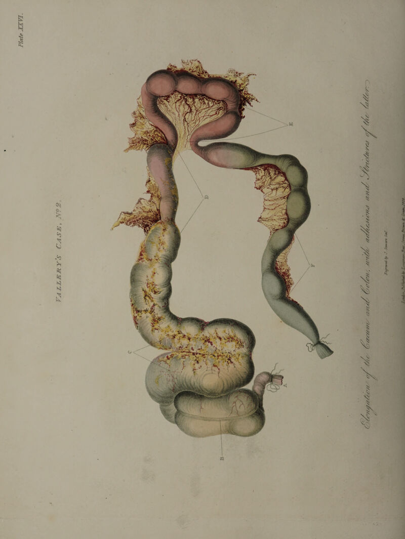 Va ller ys Ca se , N? 2 •2s I XeneL*, Published/ by 1 o/uimar-P^es, Brown. & Green J828.
